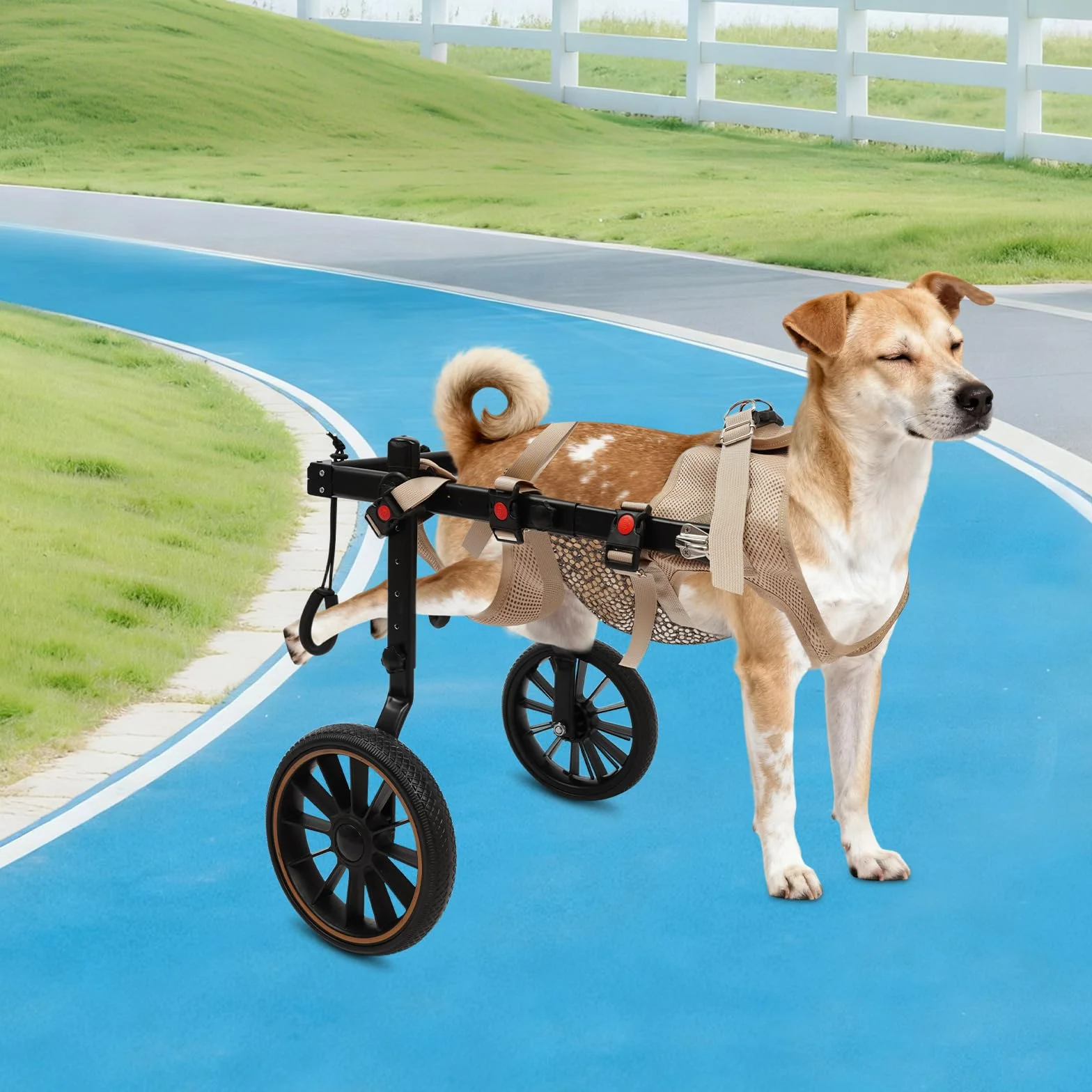 Harnais De Levage Chien Arrière Aide Marche Animaux Handicapés 65Kg Chariot Rééducation Pattes Arrière Aluminium Réglable 81-94Cm Fauteuils Roulants Deux Roues Pour Chiens