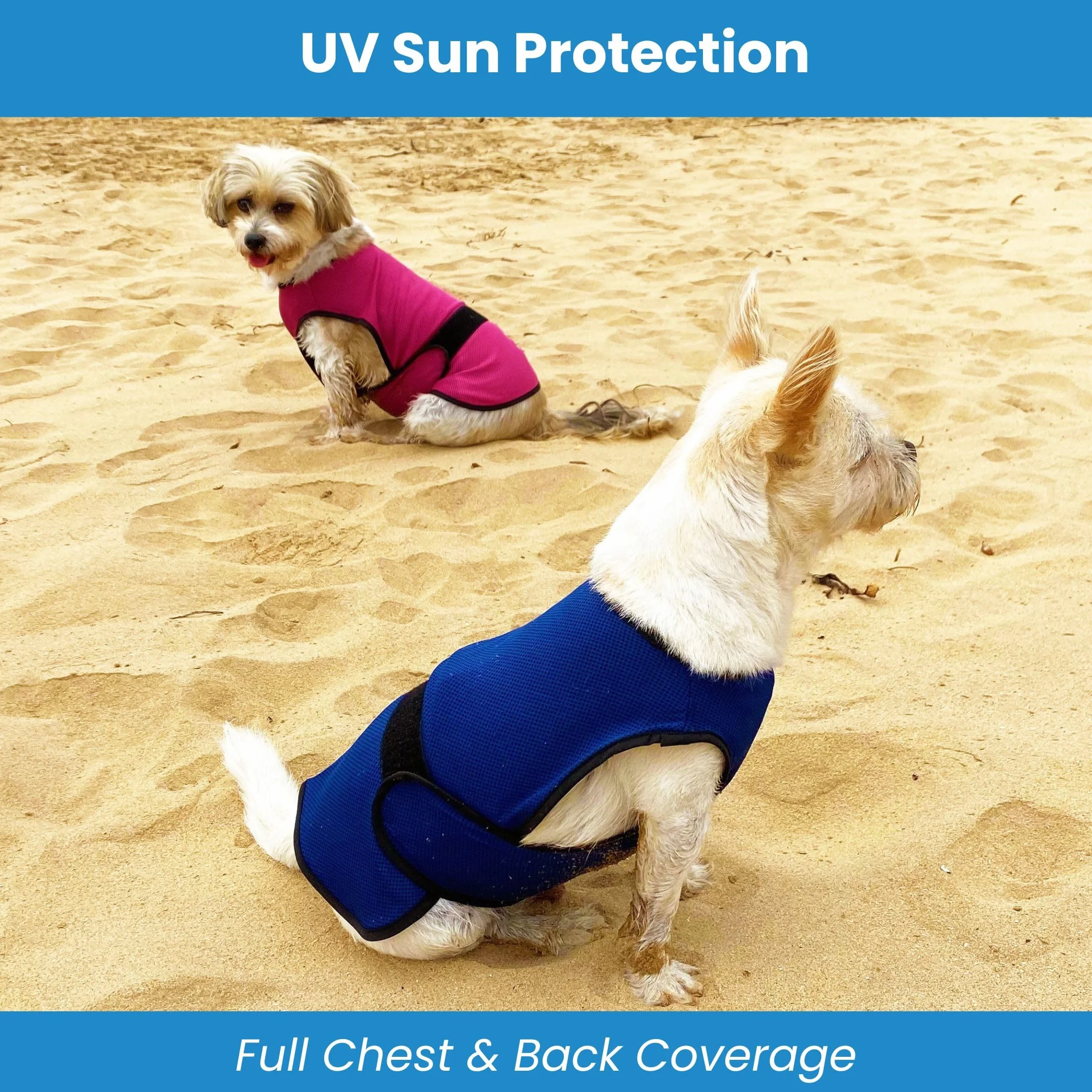 Gilet de Refroidissement pour Chien léger avec Technologie de Microfibre évaporative et Anti-UV, Taille pour Chiens Petits, Moyens et Grands, (M, Rose Rouge)