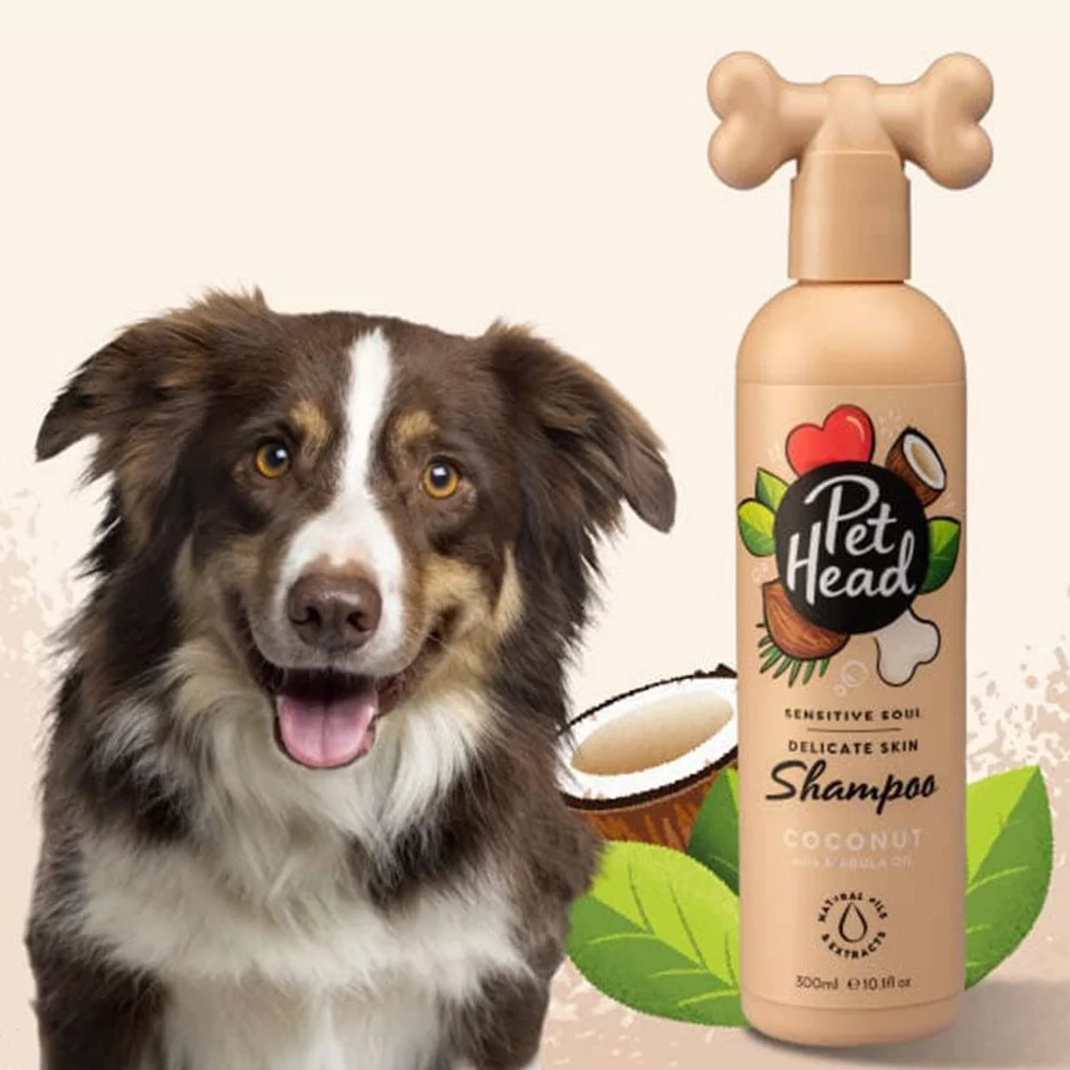Pet Head Sensitive Soul Shampoing pour Chien | Parfum de Noix de Coco | Shampoing pour Peaux sensibles | Toilettage Professionnel | Naturel | Formule Douce pour Chiots | 300ml