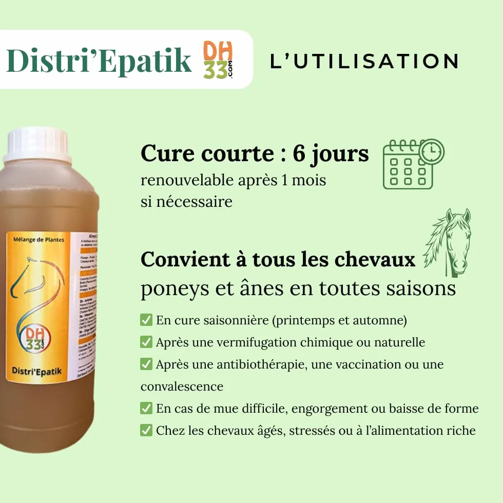 Drainage Foie Reins Cheval Liquide – Détox Naturelle, Digestion & Vitalité – Plantes Hépatiques (Chardon-Marie, Artichaut, Curcuma) – Fabriqué en France