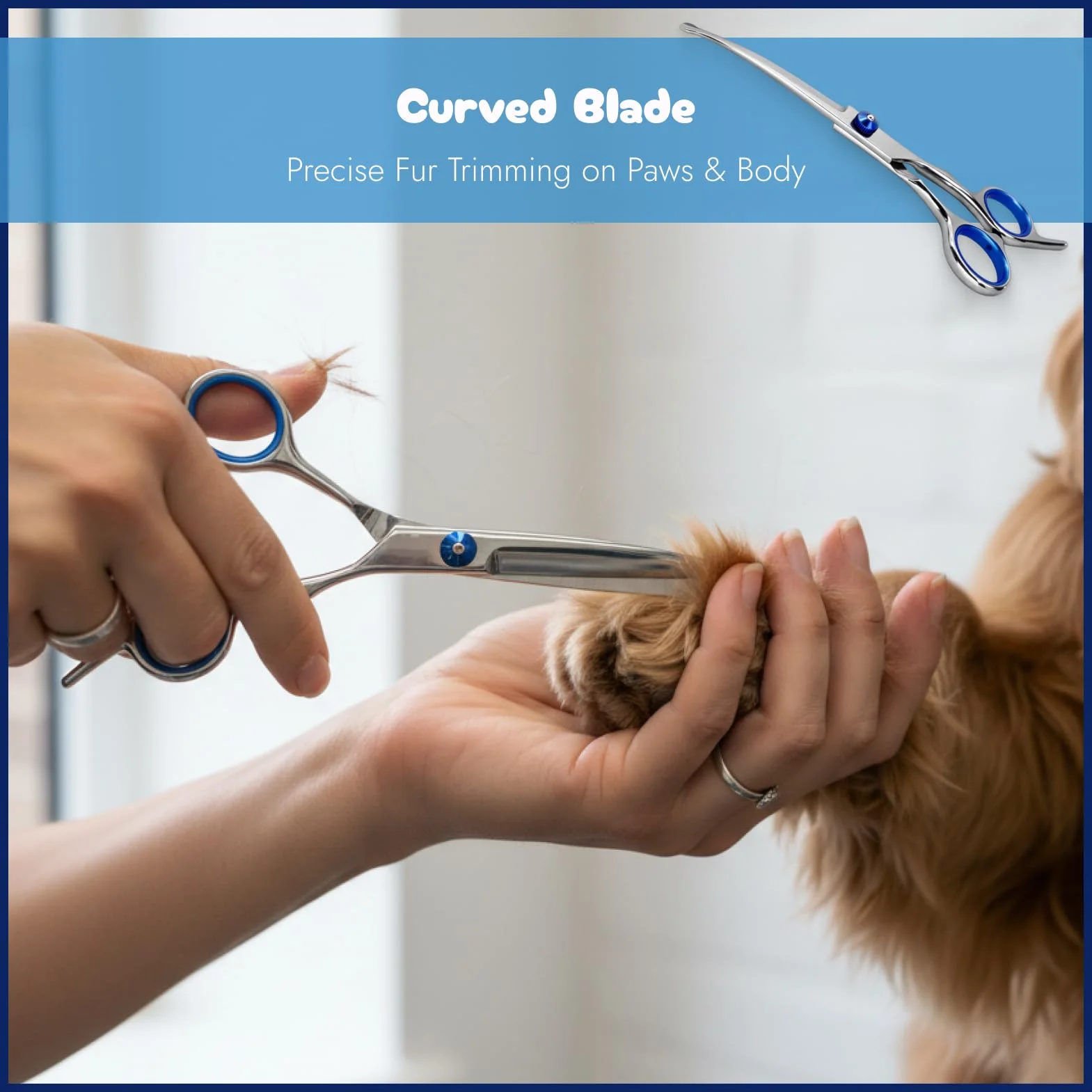 Ciseaux Courbés pour Chien 6,7 Pouces avec Chiffon de Nettoyage, Ciseaux de Toilettage Professionnels en Acier Inoxydable, Sécurité Pointe Arrondie, Idéal Pour Poils de Chiens et Chats