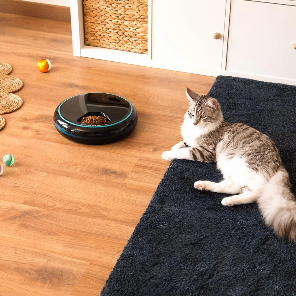 Cecotec Pumba 1600 Purrfect Meal Distributeur Automatique de Nourriture 1,6 L 4 Sections LED