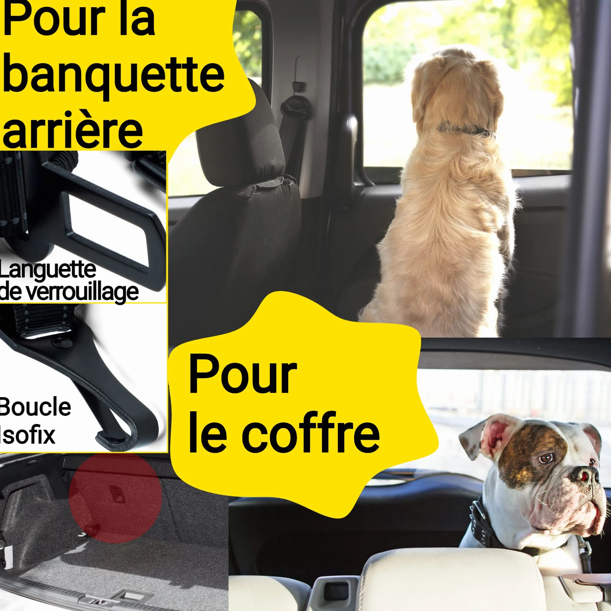 Hundefreund Ceinture de Sécurité pour Chien Voiture Extrêmement Sûre - Ceinture Chien Voiture Réglable avec Amortisseur pour Tous Les Types de Voitures et Toutes Les Races de Chiens