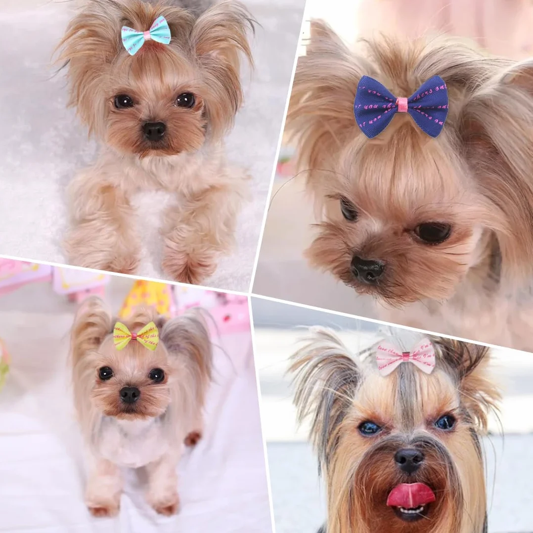 Set de 10 Noeuds à Cheveux pour Chien avec Clips, Barrettes et Accessoires de Toilettage
