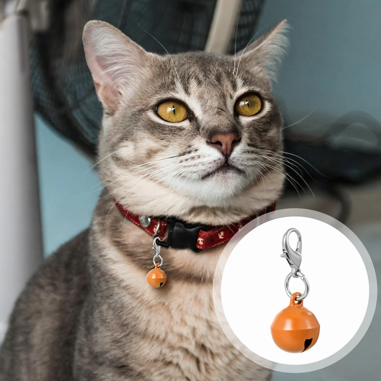 Tyqour clochettes pour collier de chat 24 pièces métal accessoires animaux