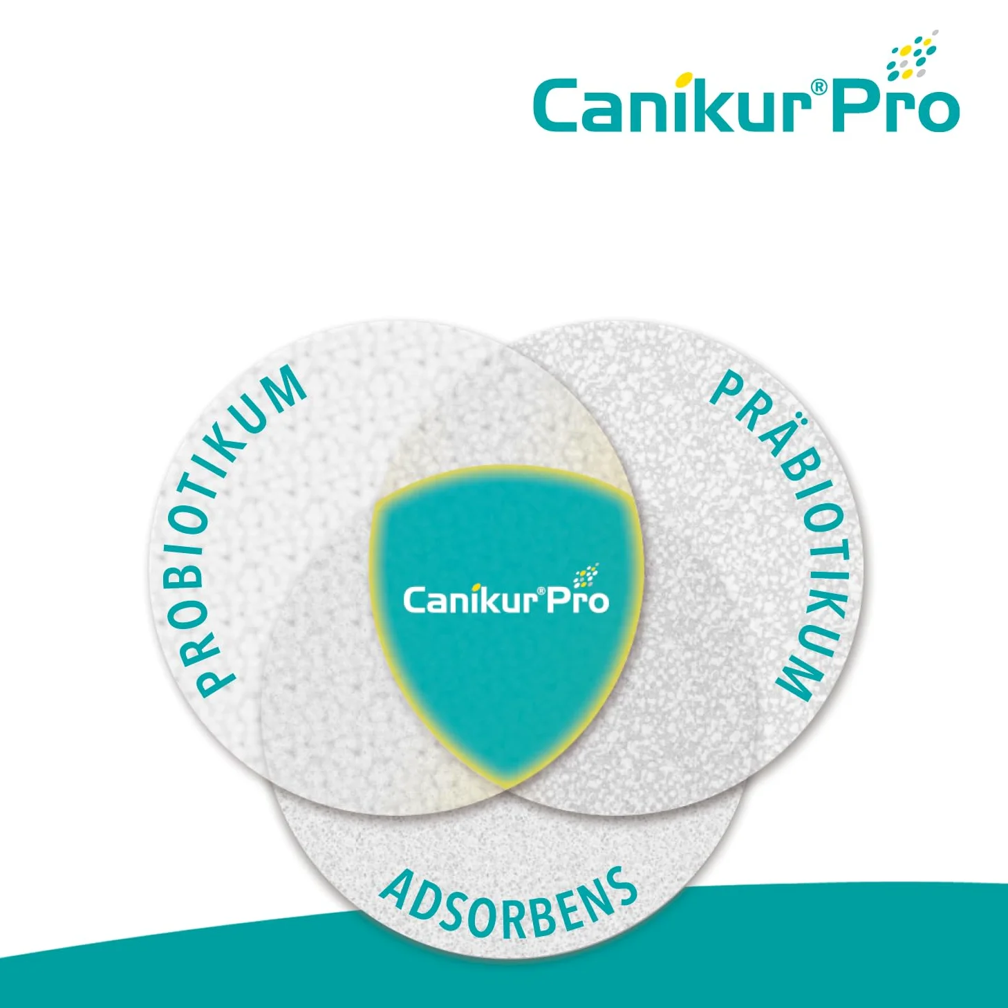 Boehringer Ingelheim Canikur Pro Pâte anti-diarrhée pour chiens et chats 3 x 30 ml