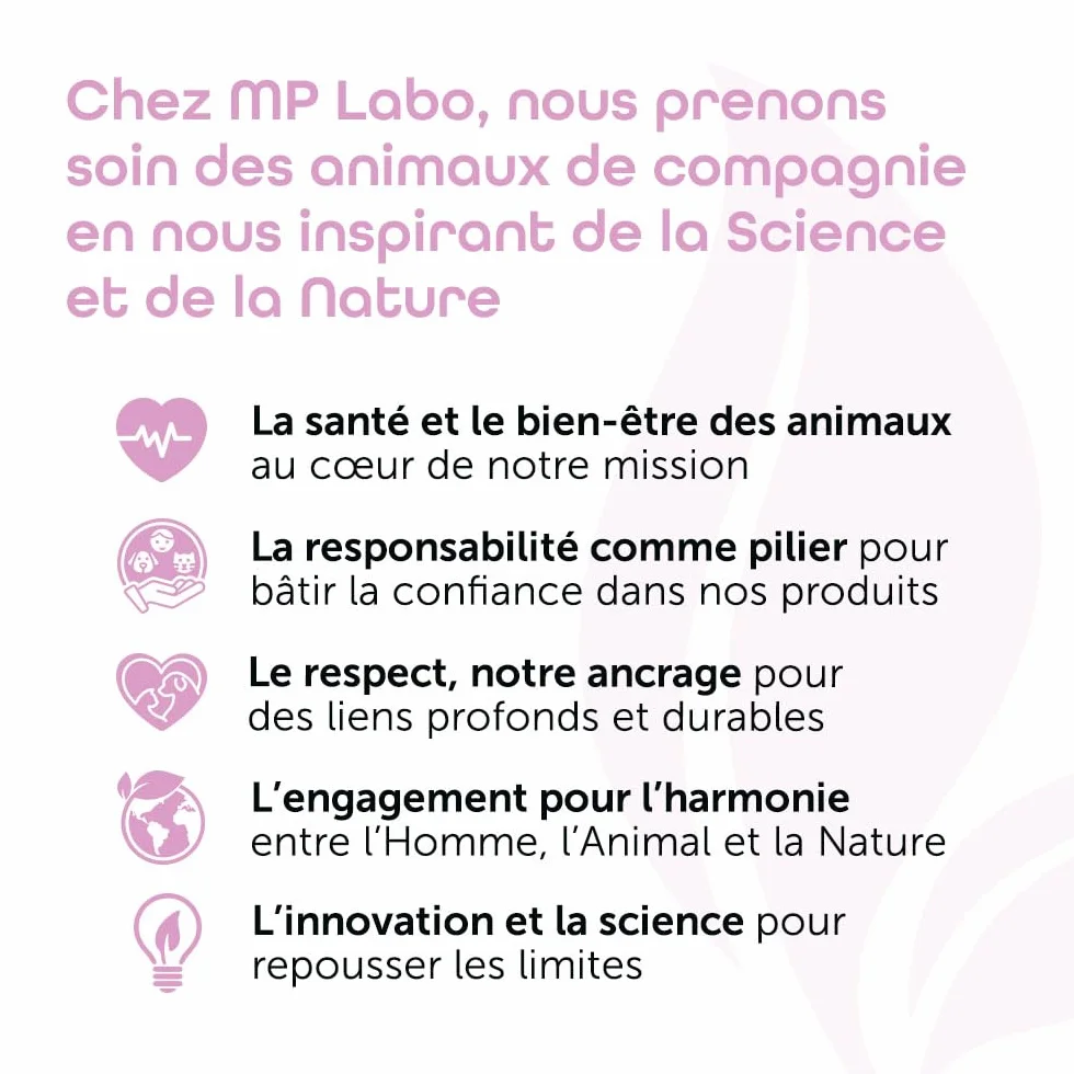 MP Labo Dermidine Spray Hygiène Cutanée Chien Chat Calendula Centella Asiatica Calmant Emollient Hydratant 125 ML