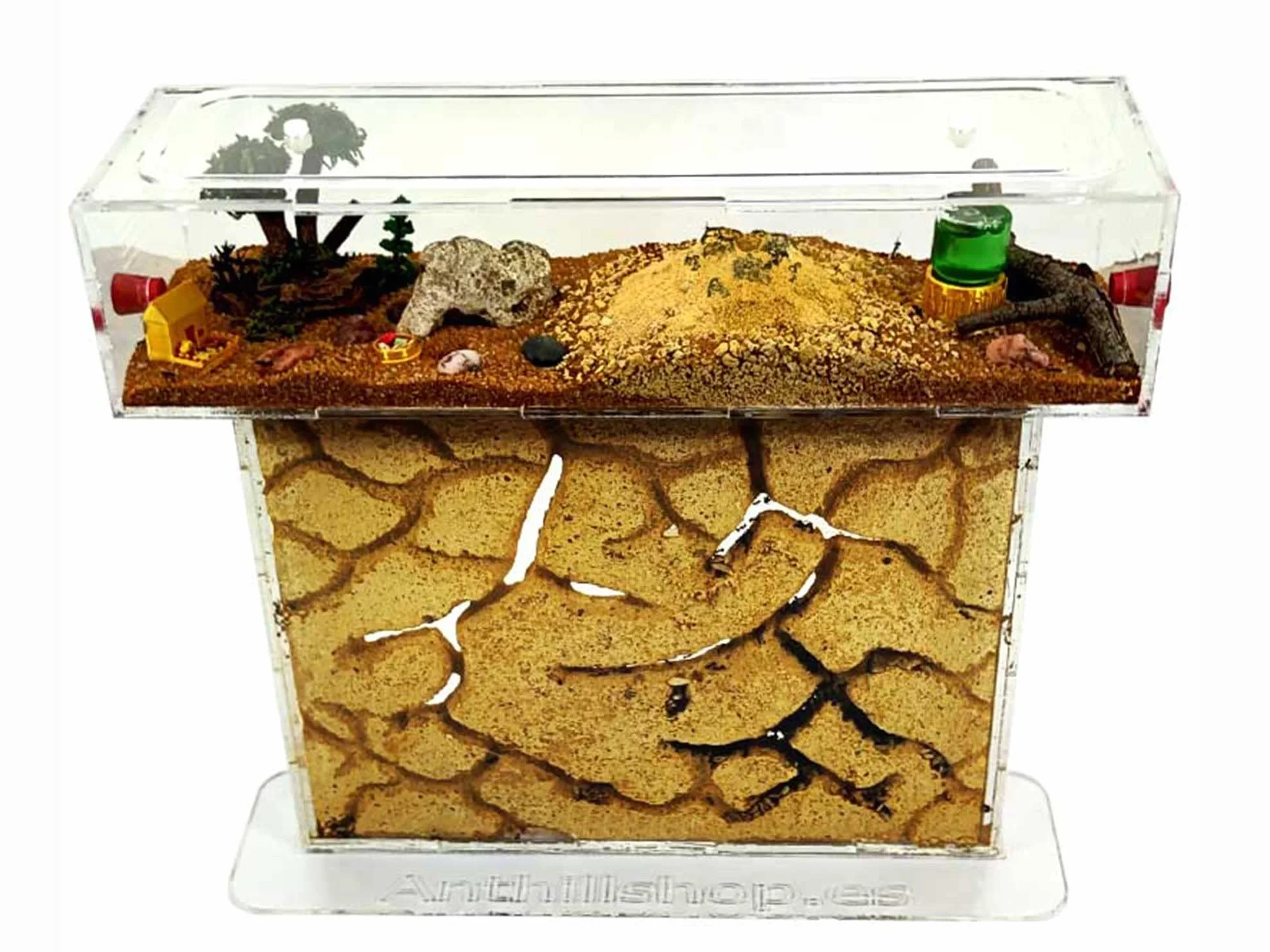 Kit Fourmilière Naturelle Sable Acrylique 25x20x1,6cm Fourmis Incluses