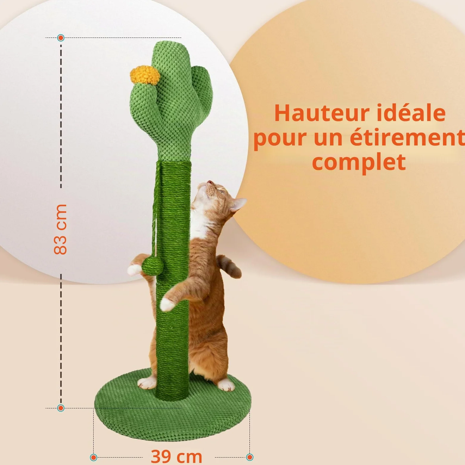 Mora Pets Griffoir Cactus Arbre à Chat Poteau Arbre Chat Tour Griffoir pour Petit Chats en Sisal 82.9 x 39 cm (H x Ø)