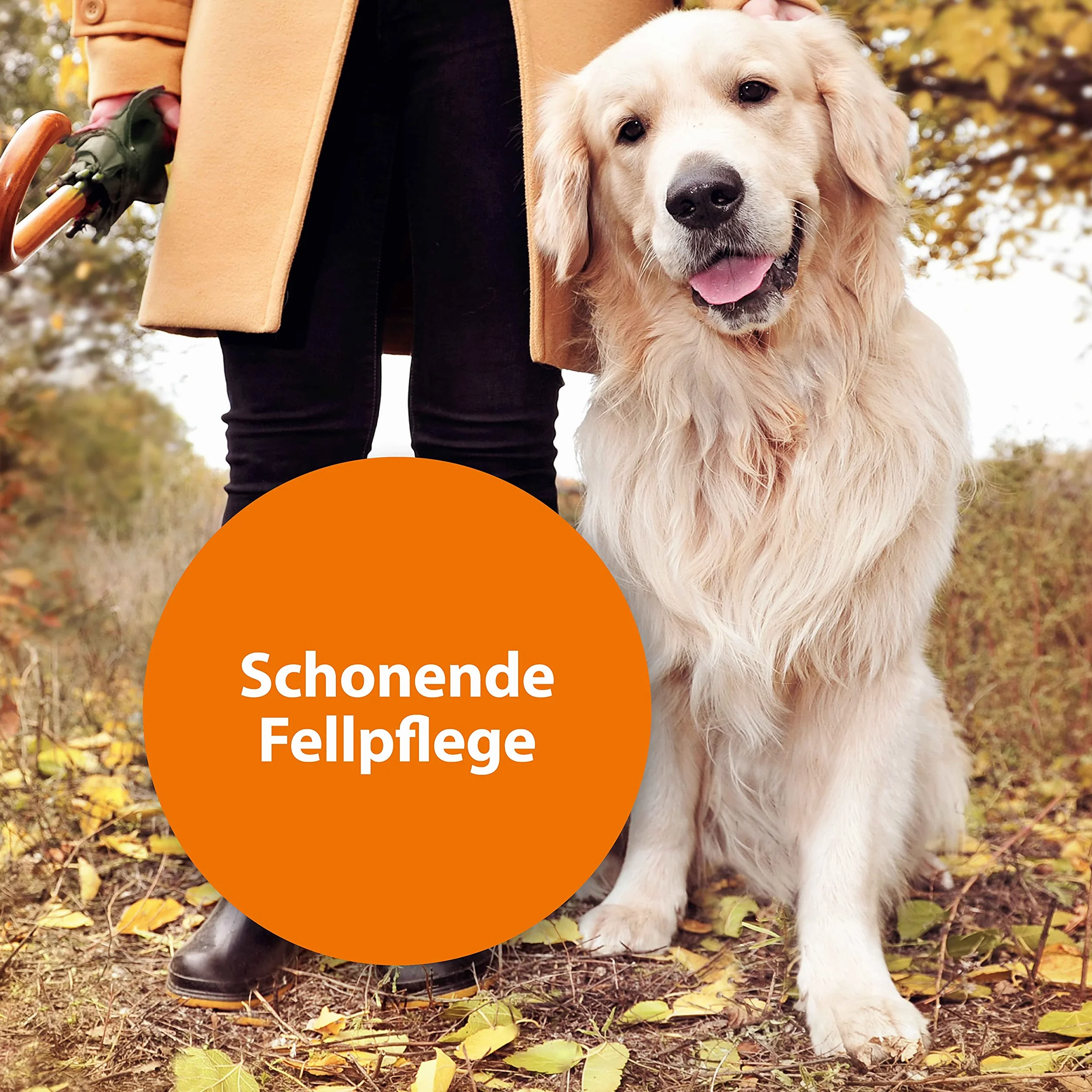 ARDAP Peigne anti-puces et poussière pour chiens et chats - Efficace contre puces et poux