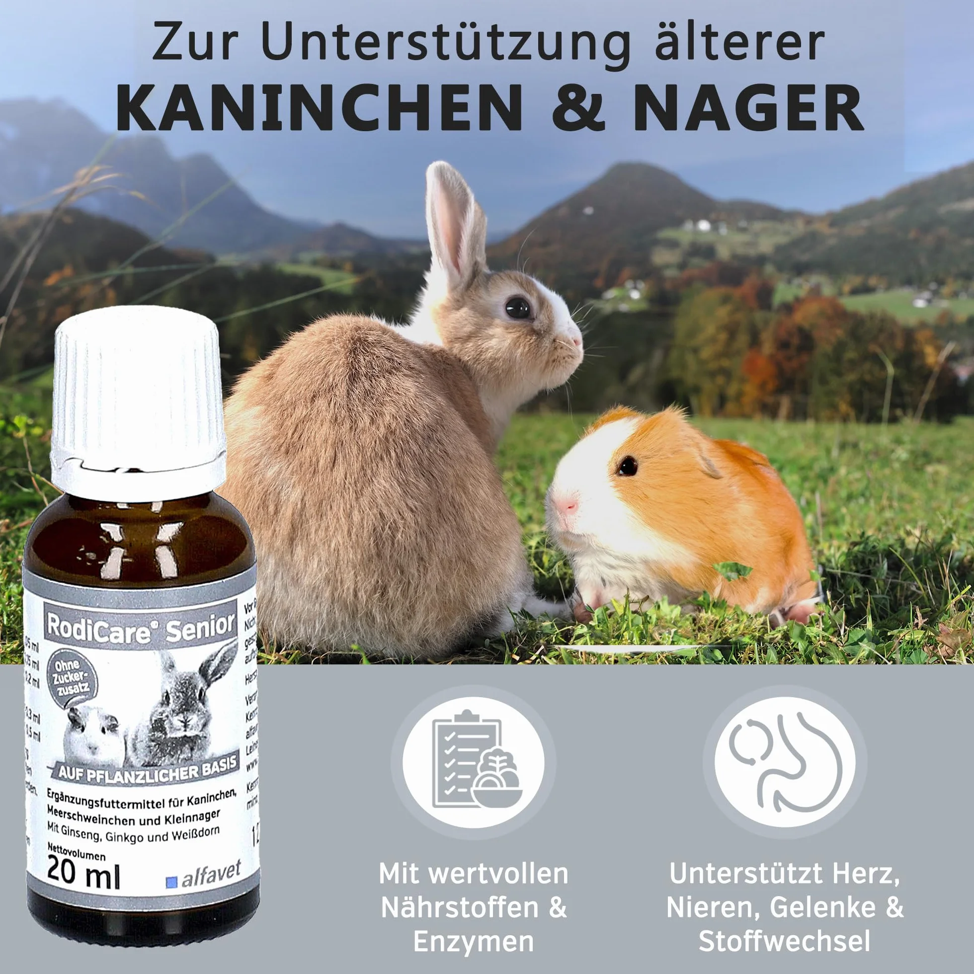 alfavet RodiCare Senior Complément Alimentaire pour Lapins Cochons d'Inde Petits Rongeurs Ginseng Ginkgo Aubépine 20 ML