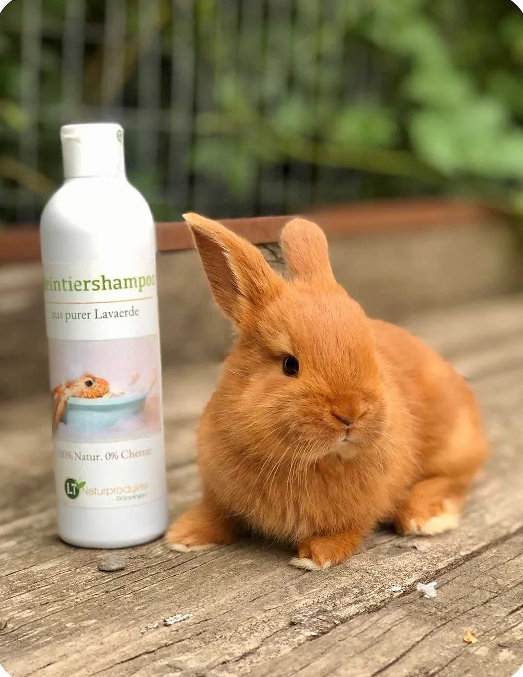 Shampooing Naturel Lapins Ghassoul Marocain 250ml