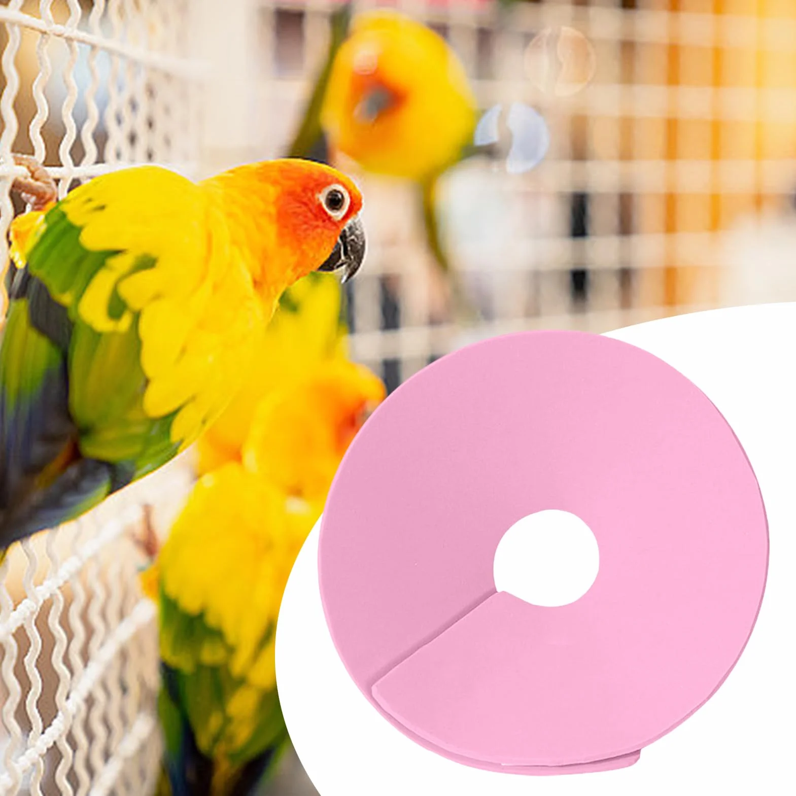 Collier de récupération pour hamster – Collier de protection anti-léchage pour lapin | Collier réglable anti-morsure pour animal de compagnie pour la prévention de la perte de poils des