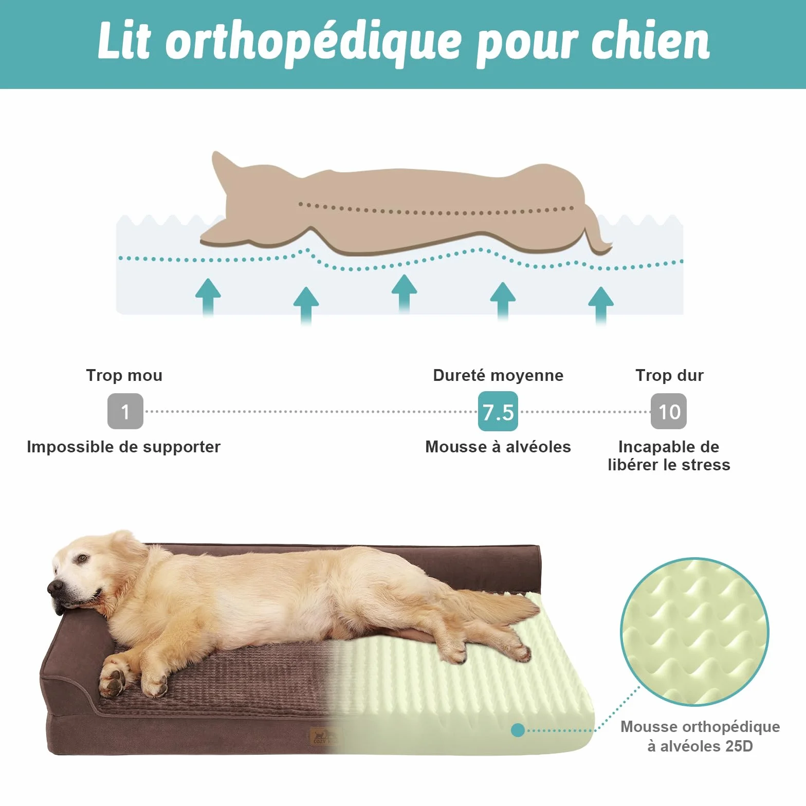 COZY KISS Canapé Chien Orthopedique Dehoussable Grande Taille L 107cm