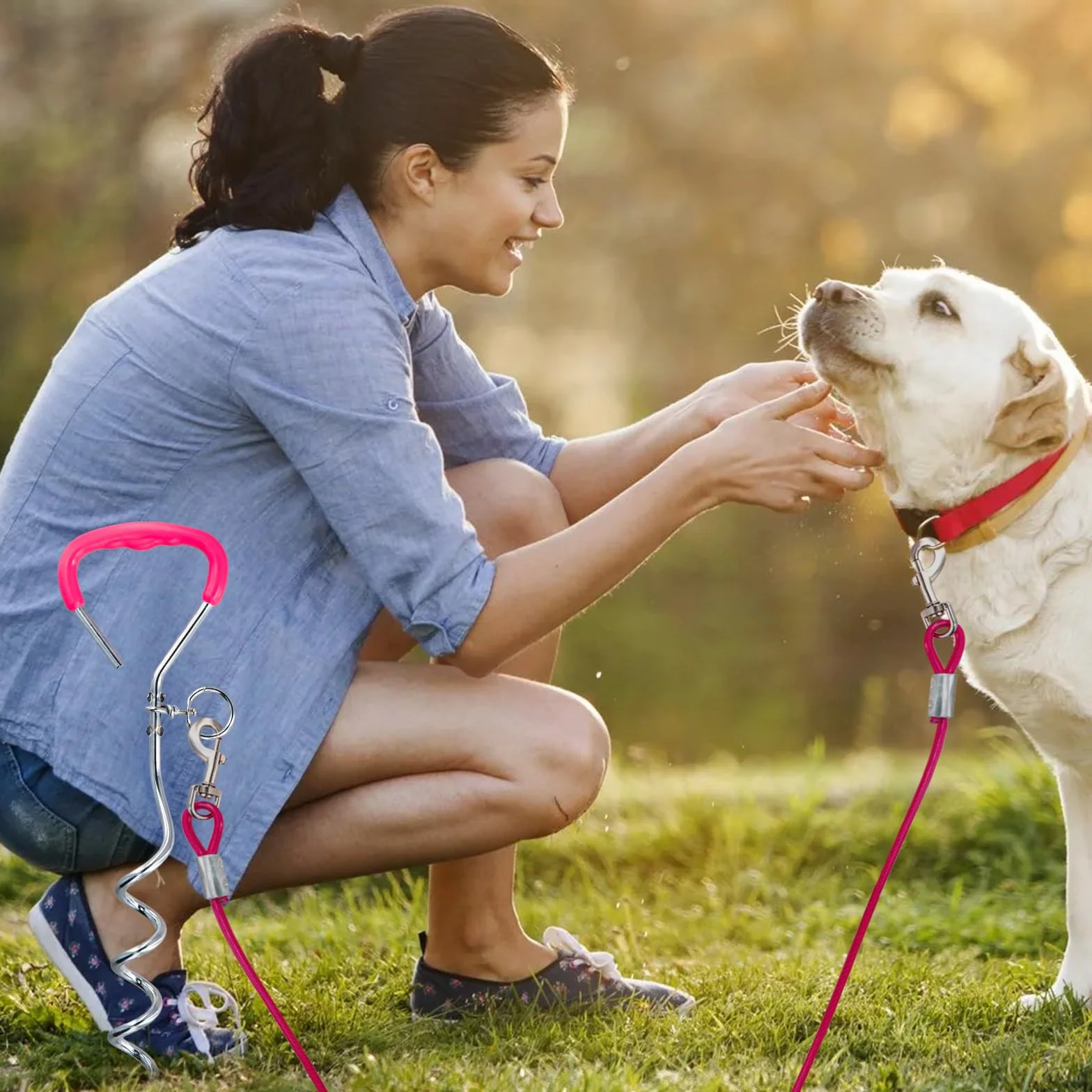 3 m Laisse pour Chien avec 42 cm Ancrage au Sol, 6 mm Câble d'attache Chiens Petite Medium Grande avec Crochet Pivotant, Jusqu'à 250 kg, PVC Coated, Anti-Morsure, Chaîne Chien Extérieur (3m Rose)