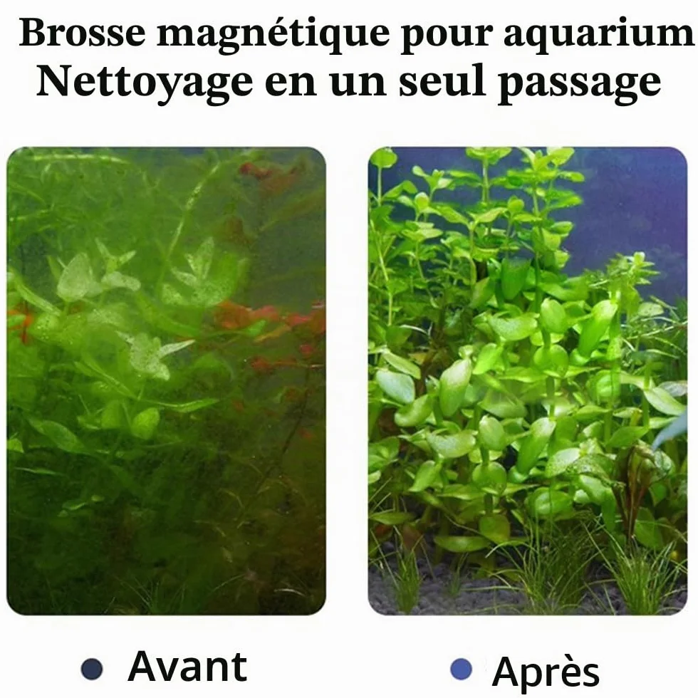 Brosse magnétique aquarium 3 cm mini tampon nettoyage 3-6 mm épaisseur 40 L non flottante