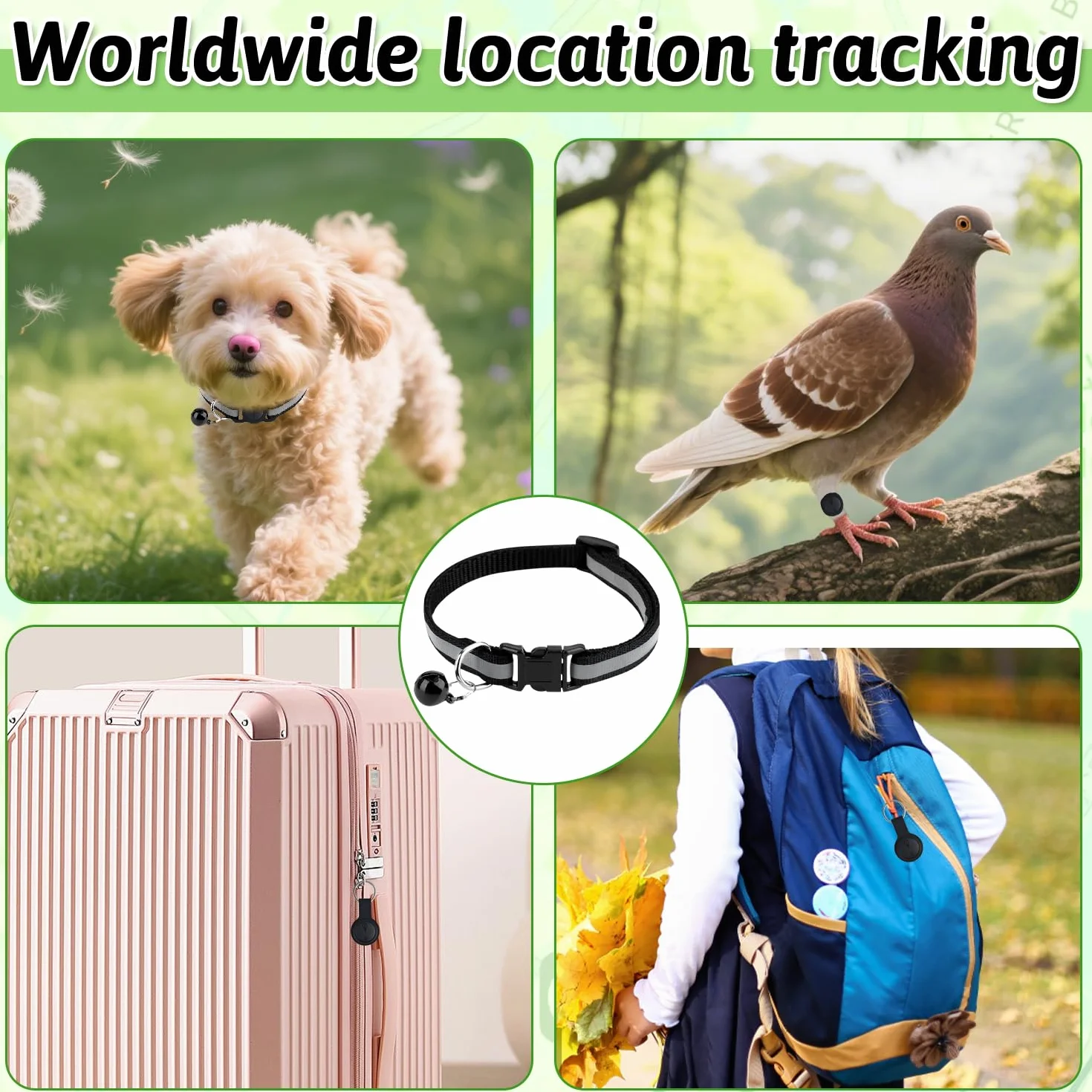 Collier GPS Chat Chien Traceur sans Abonnement Localisation Temps Réel Étanchéité iOS Android