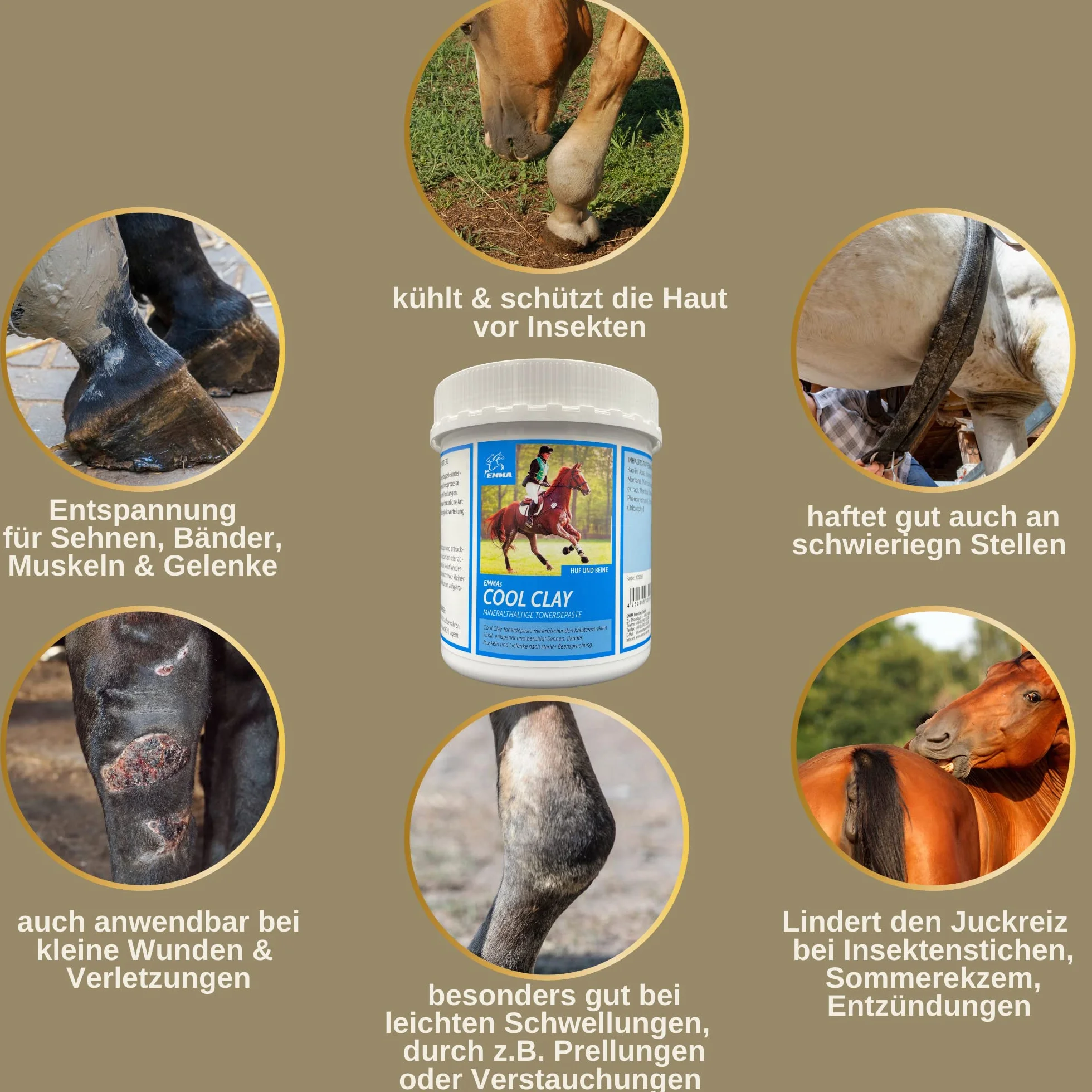 Emma Argile pour Chevaux Set 2×1,5 kg Pâte Refroidissante Tendons Articulations Arnica Pure