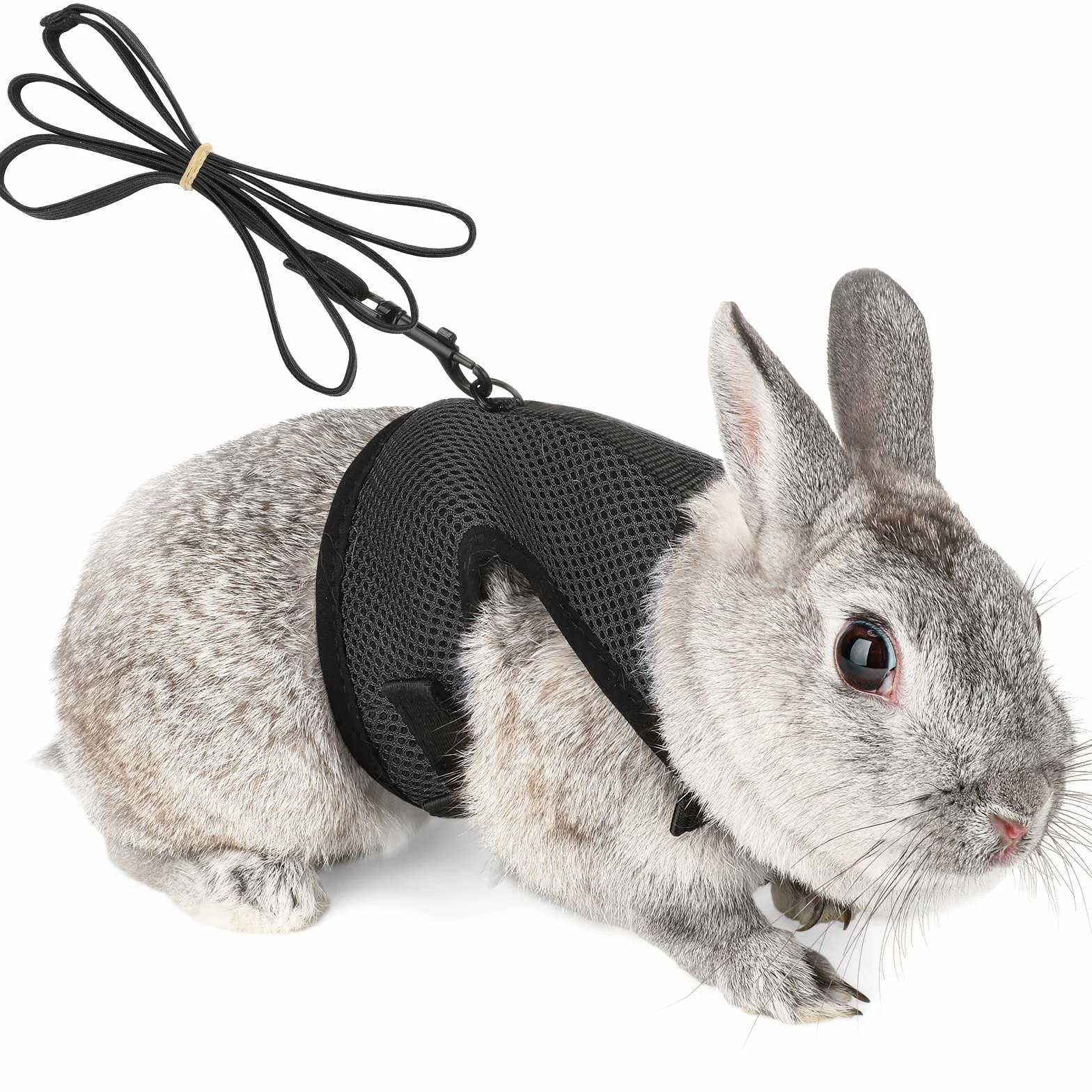 HAPPY HACHI Harnais pour Lapins Cochons d'Inde Petits Animaux avec Laisse Élastique Gilet Souple pour Promenade (L, Noir)