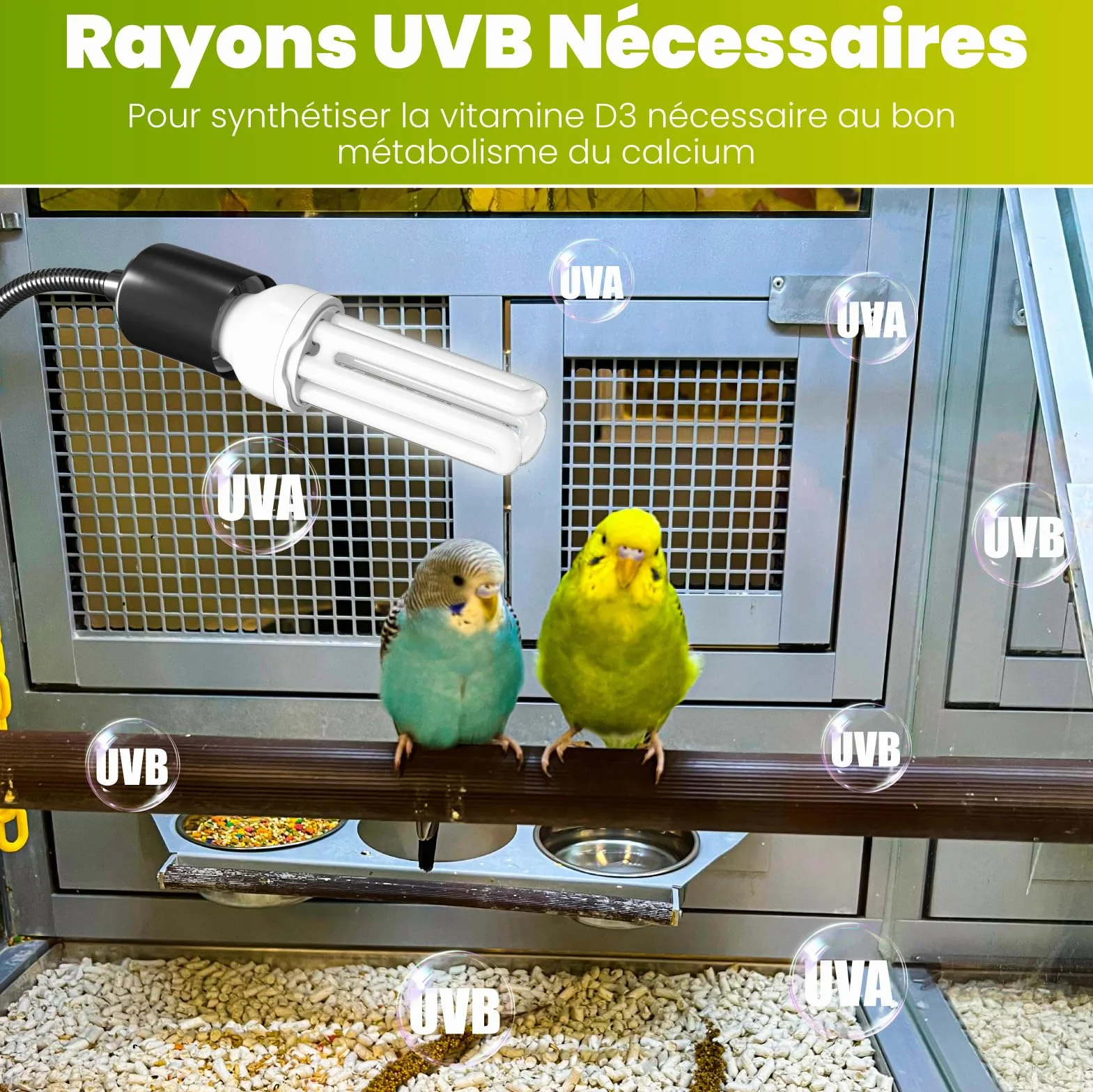 GlowUp UVB 2.4 Kit complet éclairage oiseaux lampe pince ampoule E27 20W