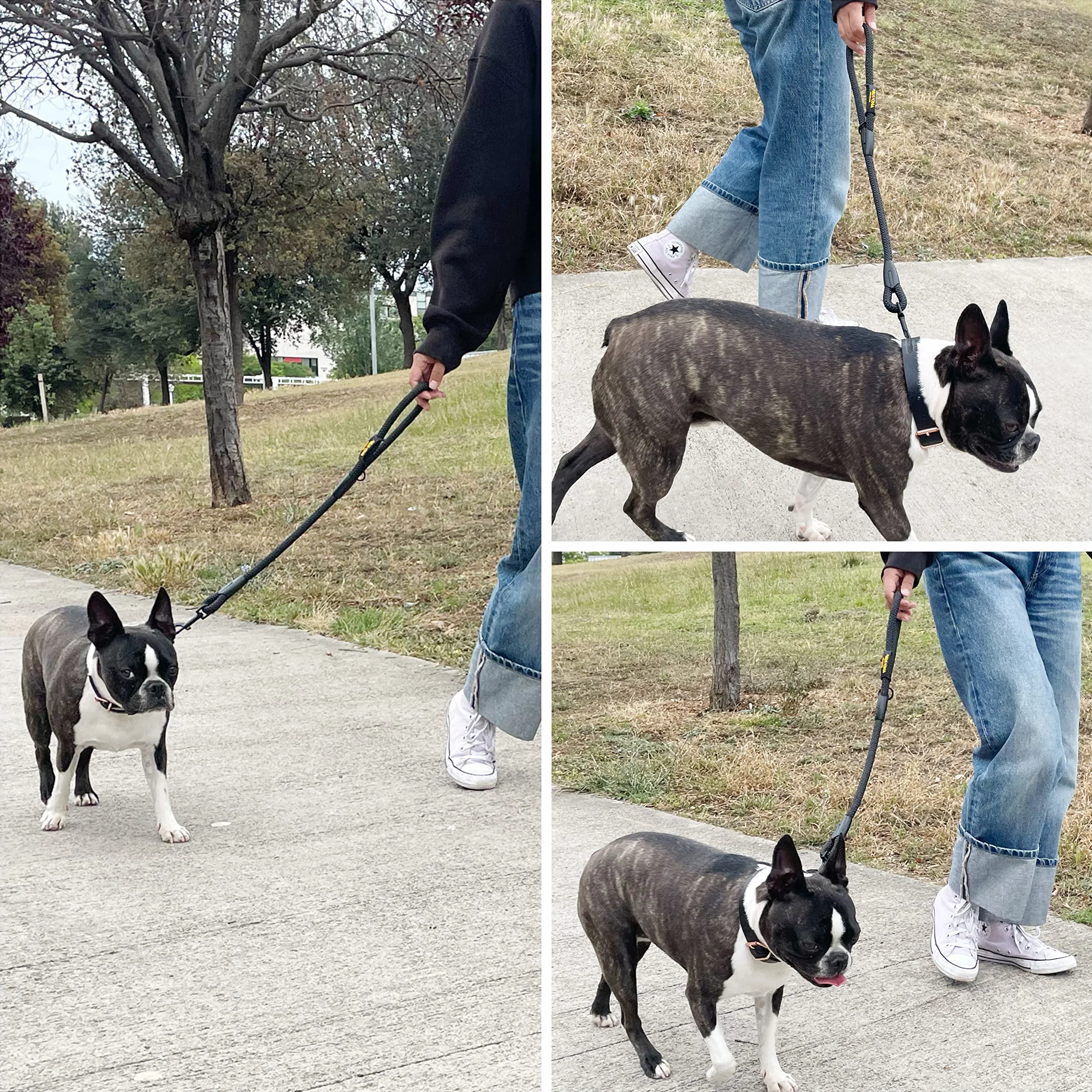 Laisse Courte en Corde 60cm Anti-Traction pour Chiens Noir Fabriqué en Espagne