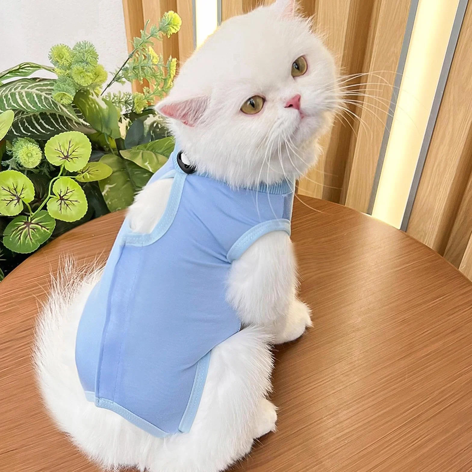 Gilet de Récupération pour Chat Anti Léchage Post-Opératoire, Stérilisation, Protection Post-Chirurgie - Rose + Bleu (M)
