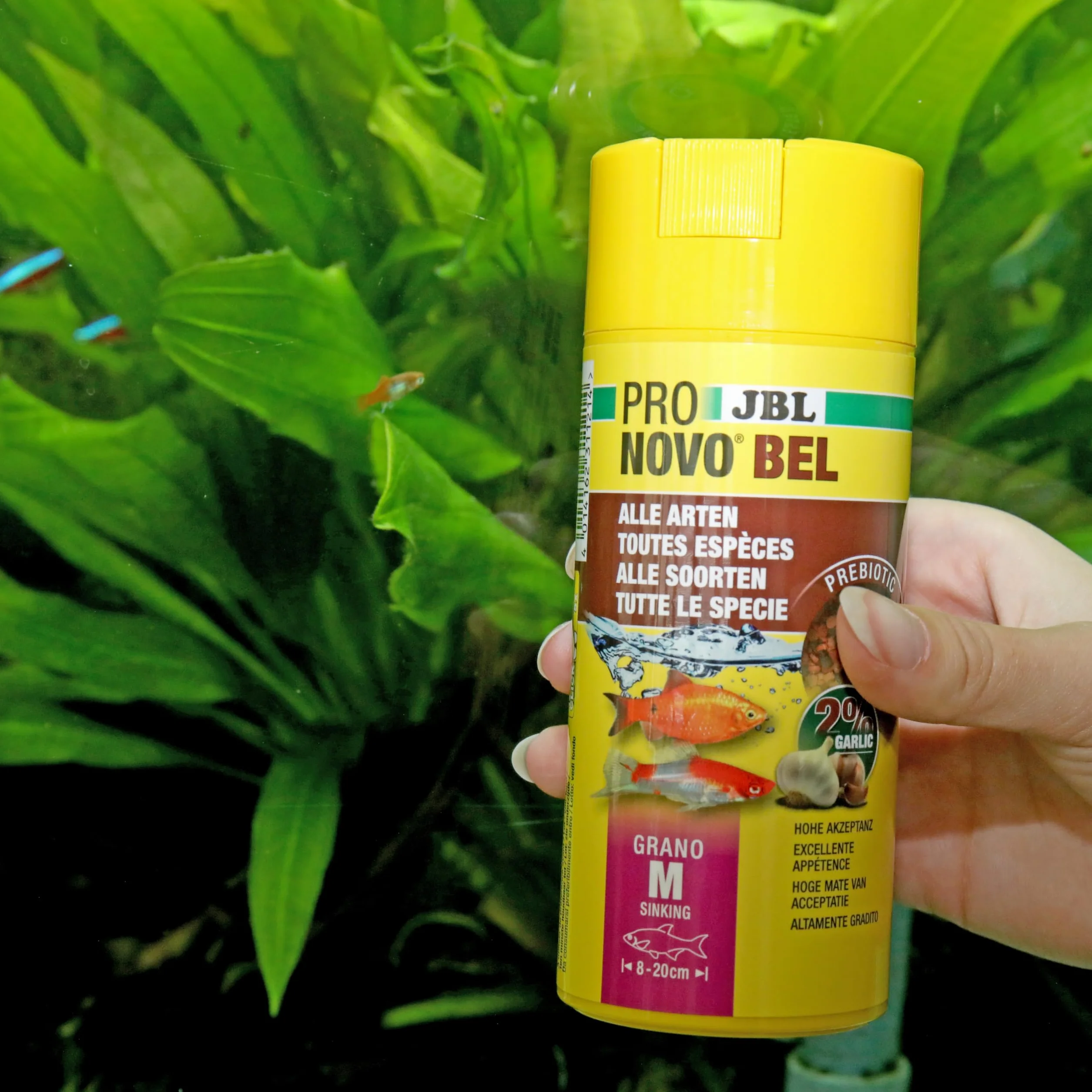 JBL PRONOVO BEL GRANO Aliment de Base Granulés pour Poissons d'Aquarium 8-20 cm Doseur à clic Taille M 250 ml