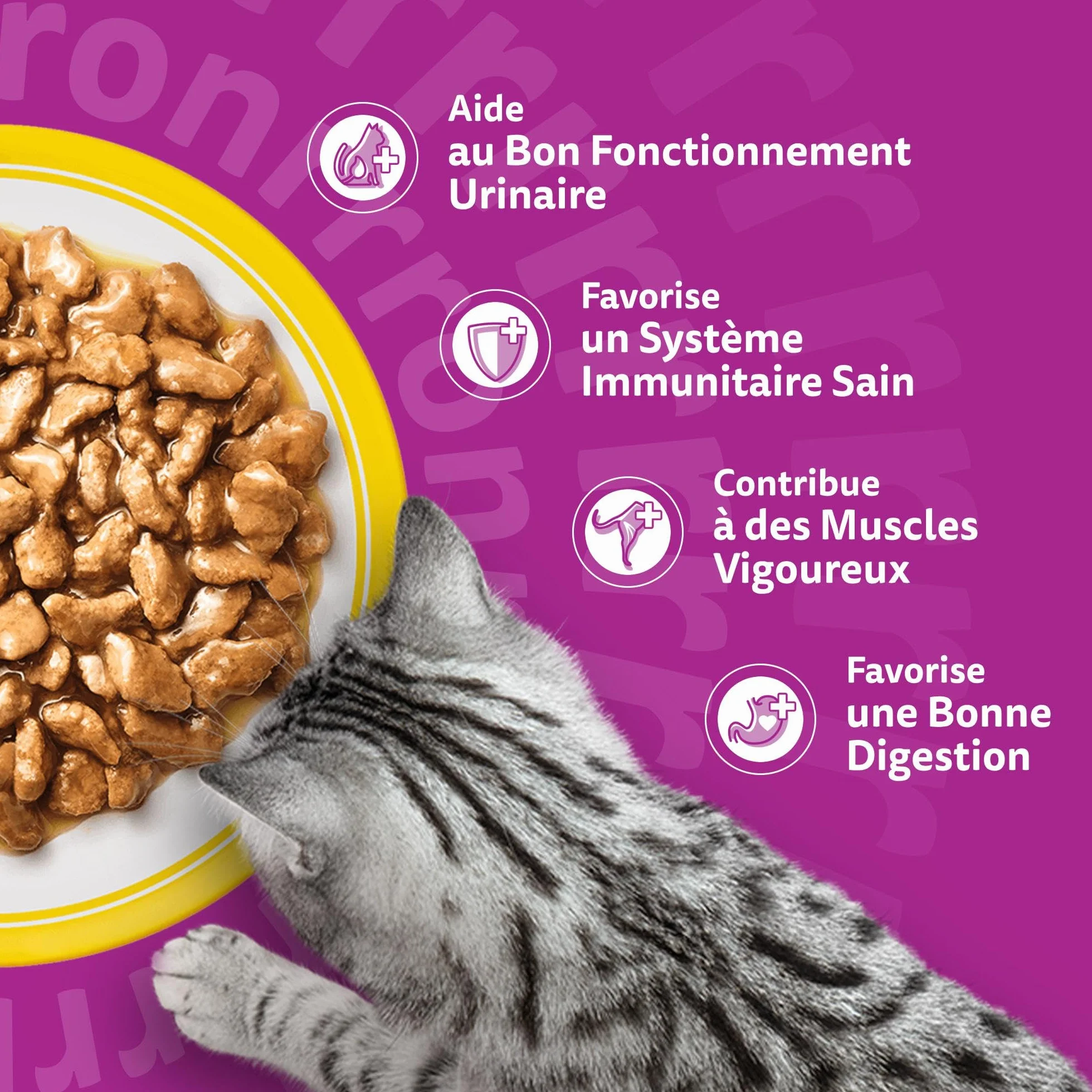 WHISKAS Aliment humide en sauce Chat senior 7+ 12x85g Festins à la Volaille (Lot de 4) 48 Sachets