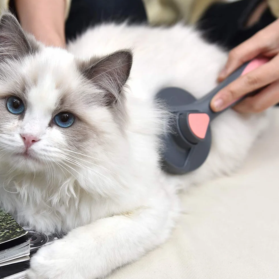 Brosse autonettoyante pour chat et chien PAKEWAY, bouton de déverrouillage, adaptée chatons animaux poils courts moyens longs vert
