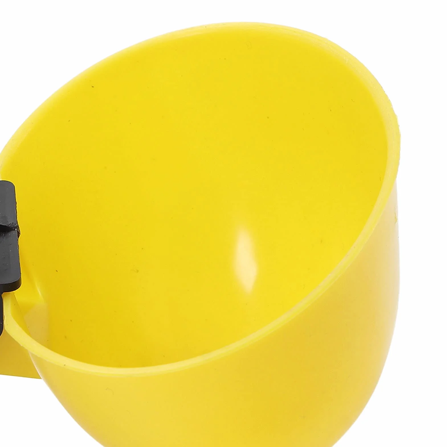Bol à abreuvoir pour oiseaux 10 pièces distributeur d'eau automatique grande capacité
