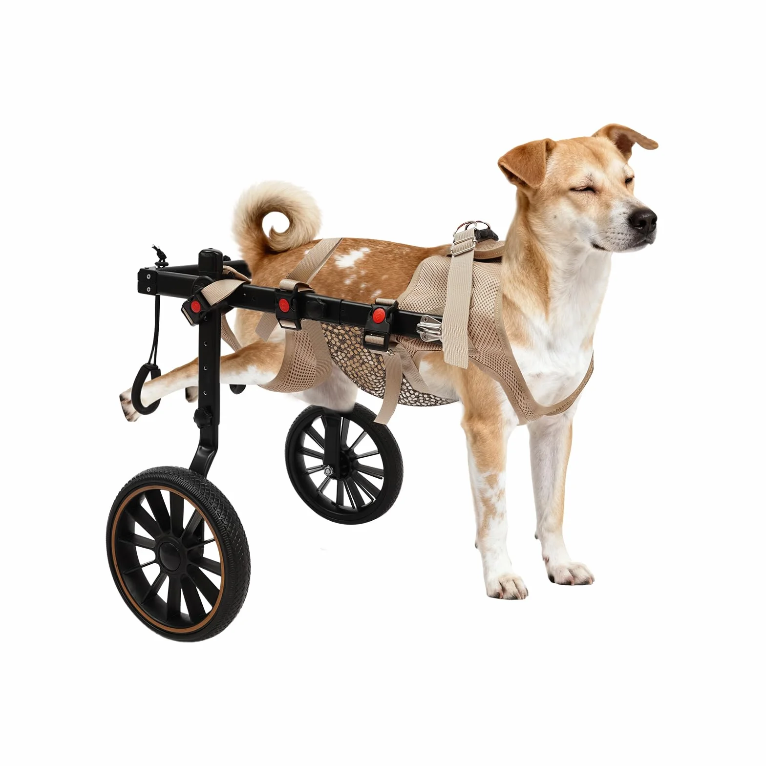 Fauteuil roulant réglable pour chien taille moyenne/grande, cadre aluminium léger, harnais maille, chariot arrière senior handicapé