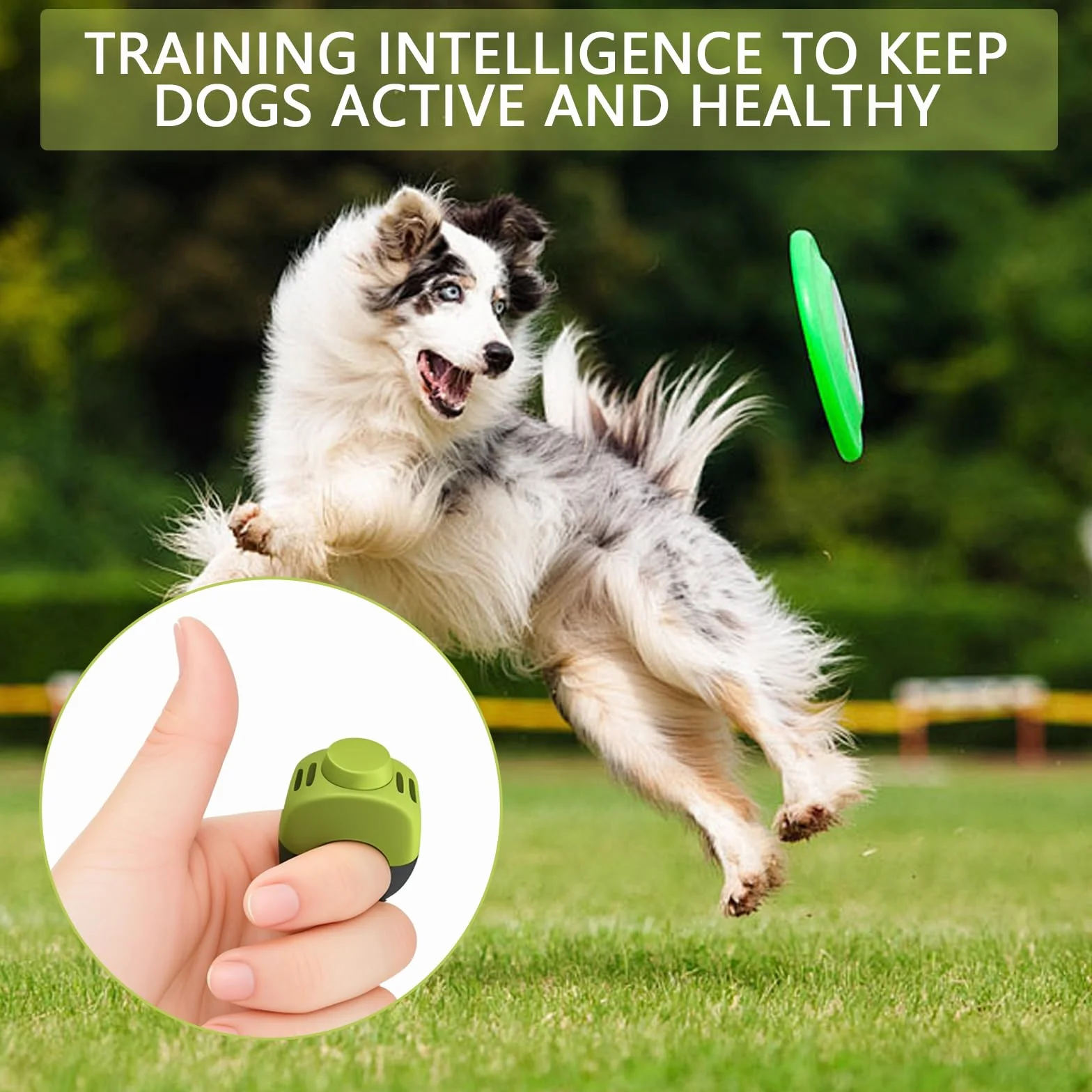 2 Clicker Chien Dressage avec Anneau 19mm/21mm, Clicker pour Chien en Vert & Gris, Clicker Chien pour Dressage Chiot, Éducation & Rappel