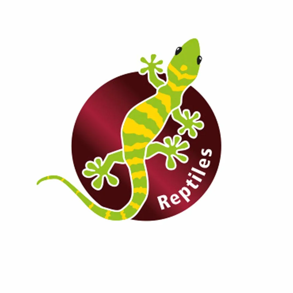 Sphaigne Substrat Tropical pour terrariums et orchidées 100% Naturel sans additifs Chimiques