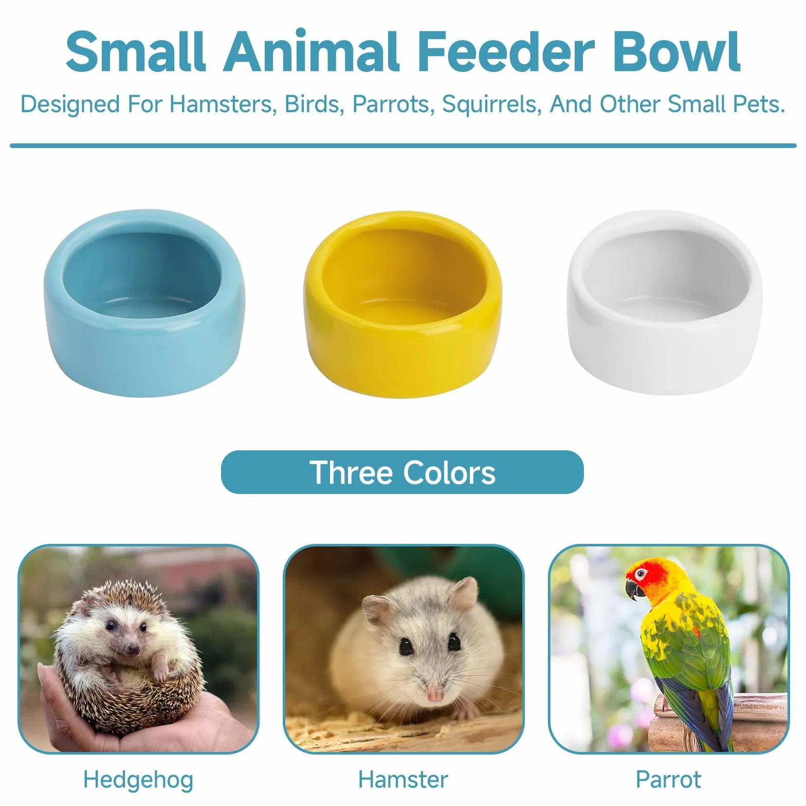 Gamelles Céramique Hamster Anti-Morsures Lot de 3 Syrien Gerbilles Souris Rats