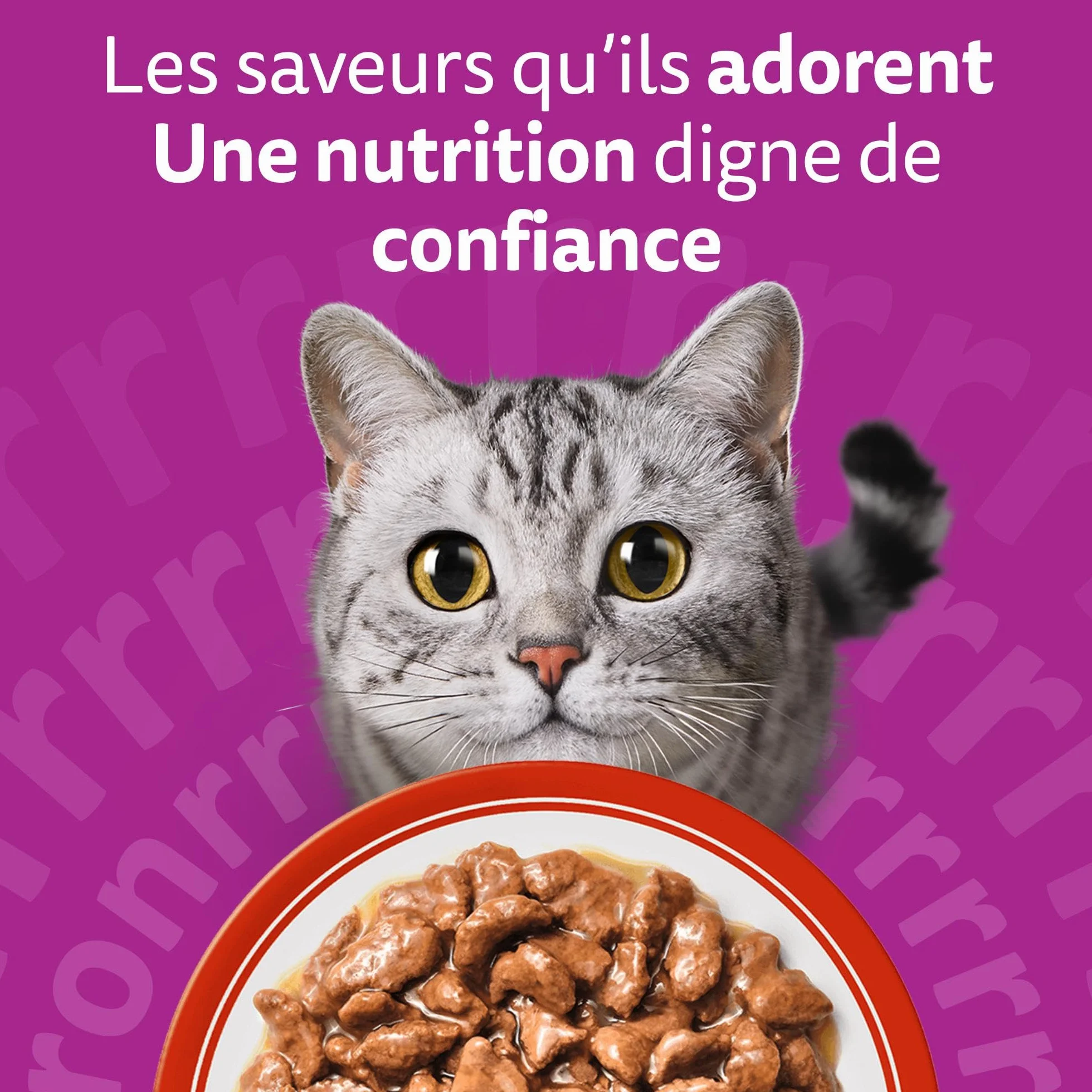 WHISKAS Aliment humide en sauce Chat adulte 84x85g Les Repas Classiques
