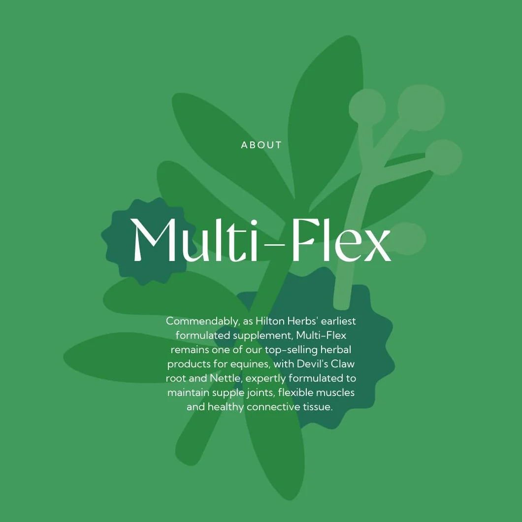 Hilton Herbs Multiflex