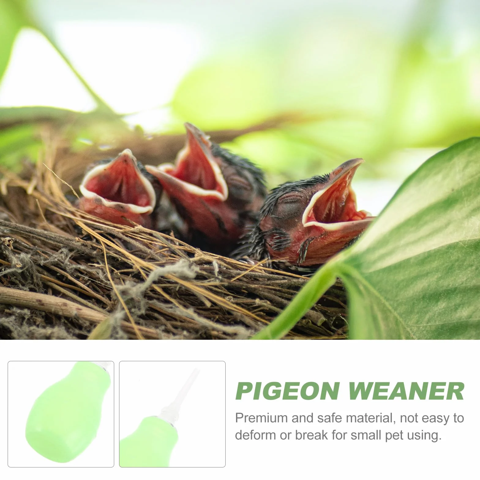 POPETPOP Seringue d'alimentation pour oiseaux pipettes en plastique