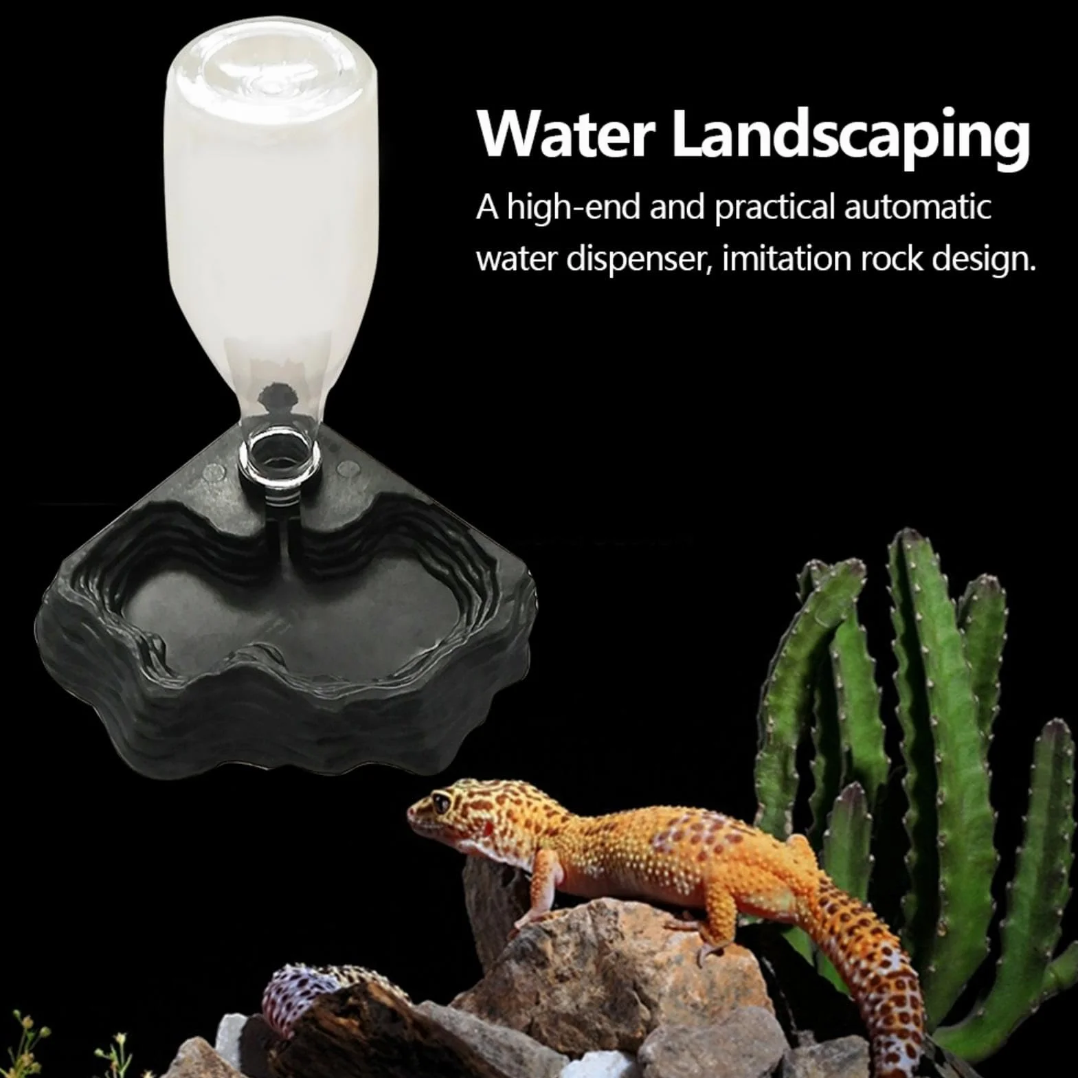 Distributeur d'eau pour Reptile, Abreuvoir Tortue, Bol Anti Debordement Plastique