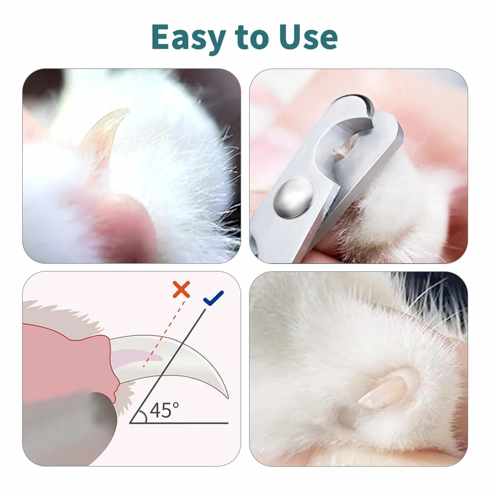 GOTOTOP Coupe-ongles pour animaux de compagnie petits animaux oiseaux perroquets chatons lapins outil de toilettage