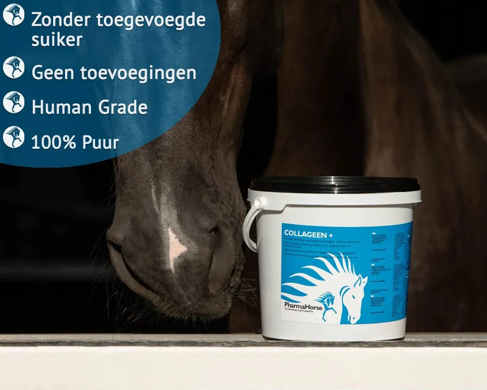 PharmaHorse Collagène+ 500g Souplesse Articulations Cheval Glucosamine Pur sans Sucre