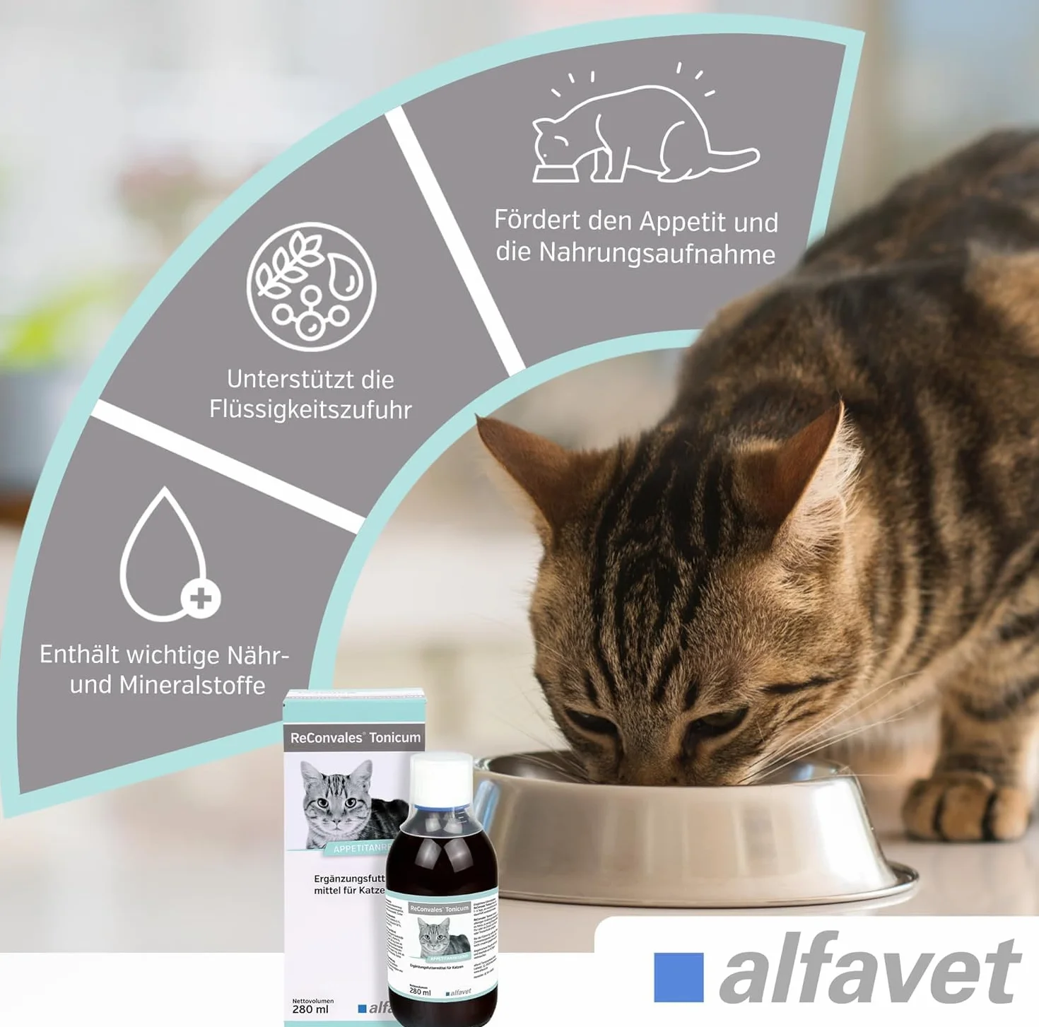 alfavet ReConvales Tonicum Chat, complément alimentaire diététique pour convalescence et poids insuffisant, 12 x 45 ML