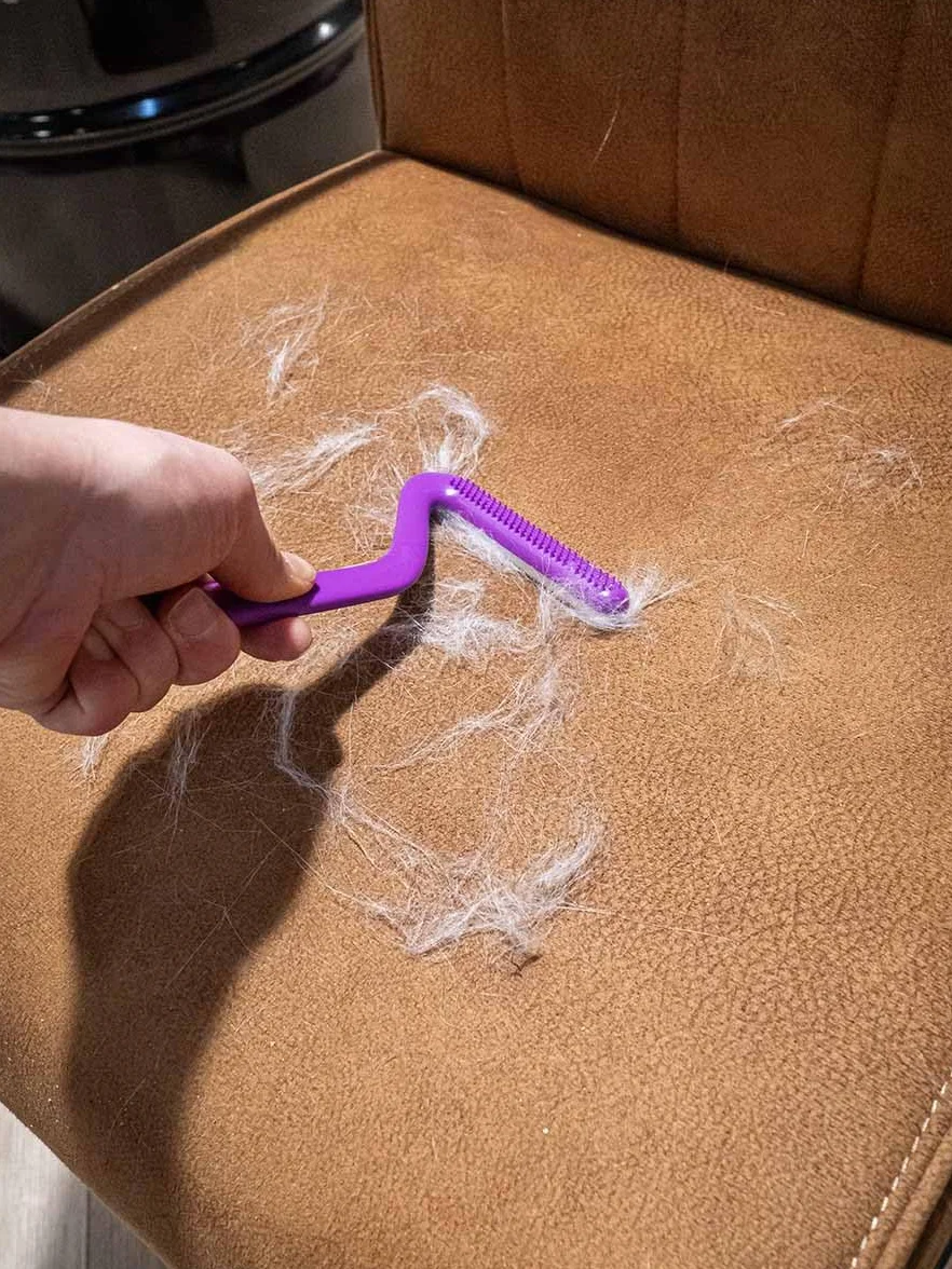 Petrebels Épilateur pour poils de chat brosse double face canapé arbre à chat meubles Lucky 7 violet