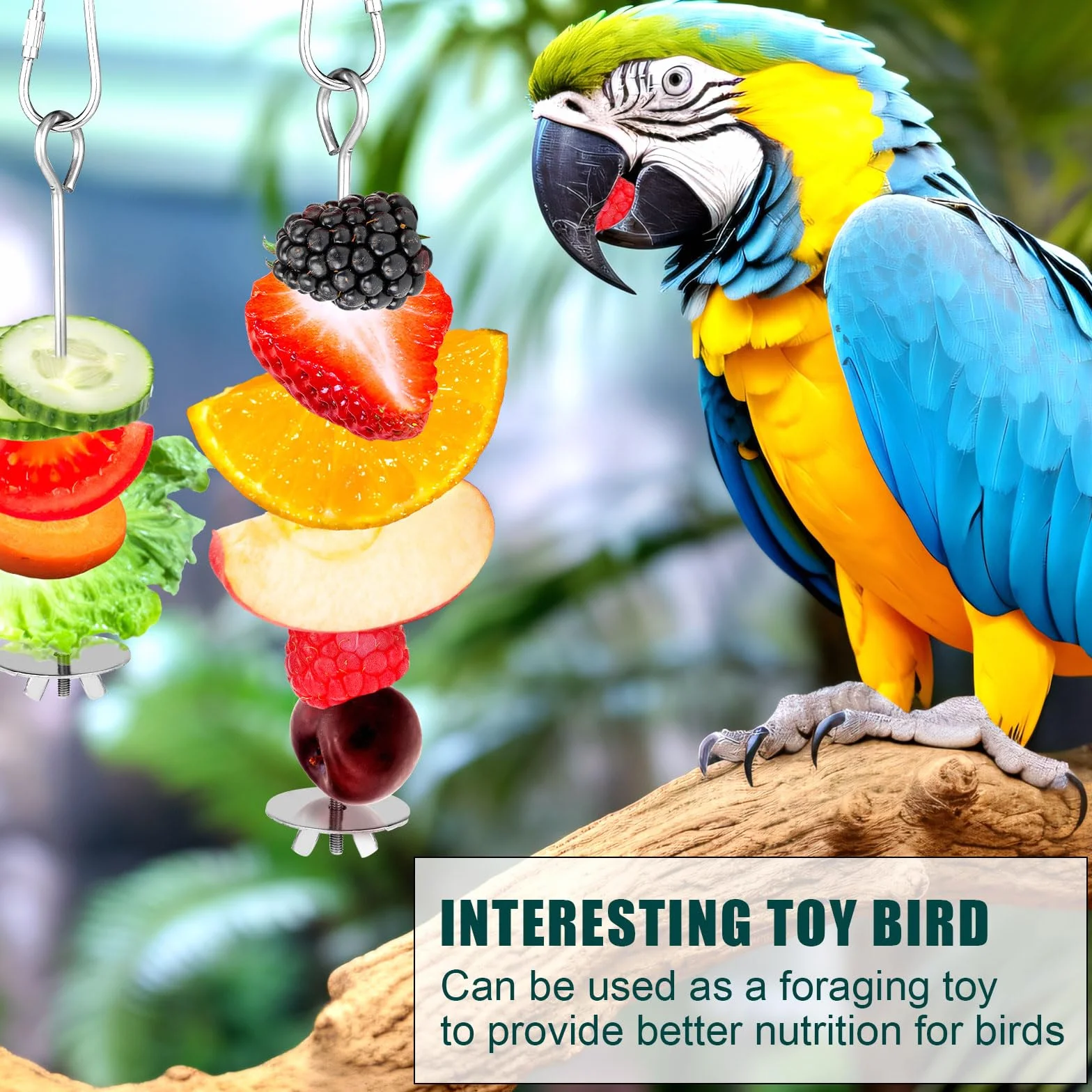 Mangeoire à Fruits pour Oiseaux, Acier Inoxydable Brochette avec Crochet, Jouets de Recherche de Nourriture pour Perruche Ara Perroquet