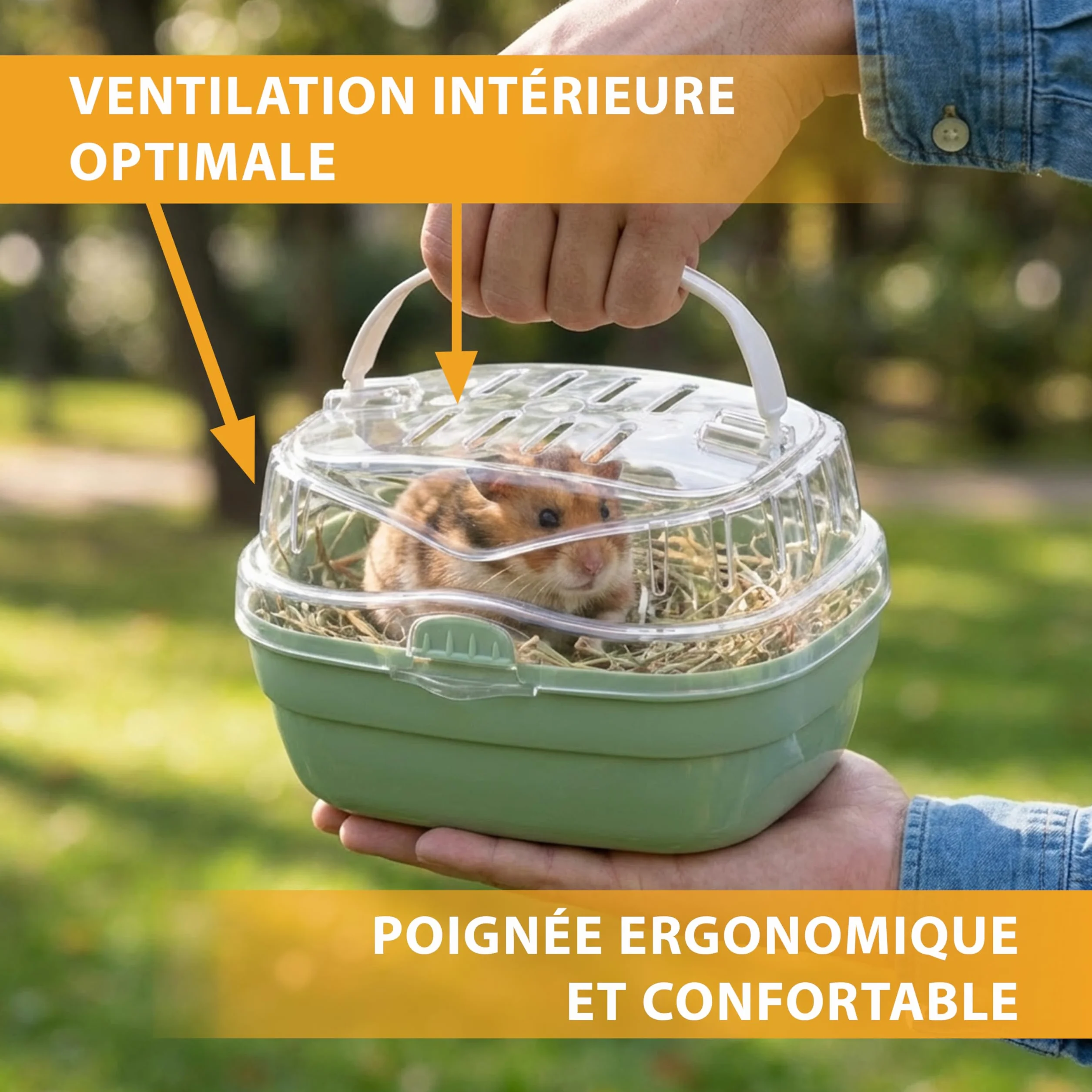 Ferplast ALADINO Petite Cage de Transport pour Hamsters et Petits Rongeurs, 20 x 16 x h 13,5 cm, Vert