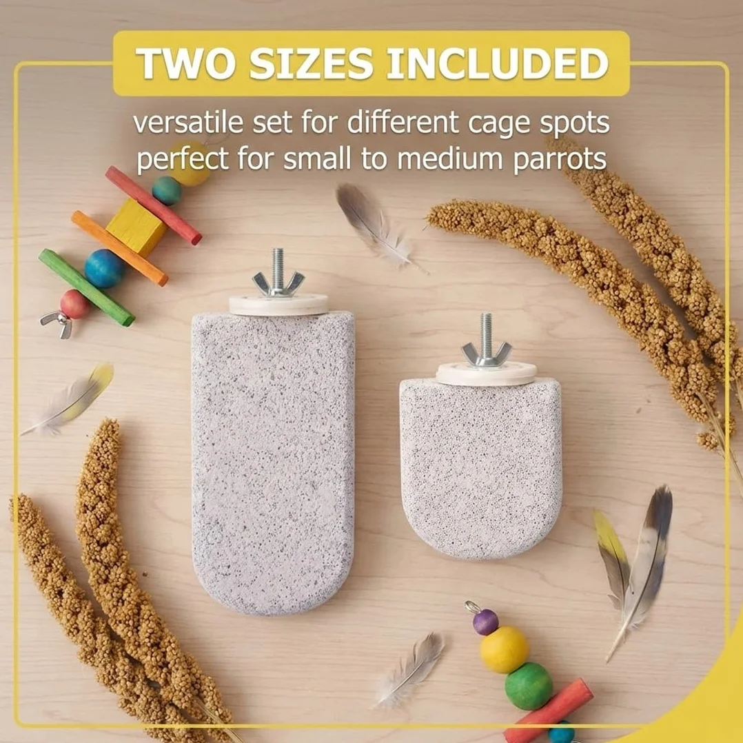Lot de 2 Supports pour Os de Seiche Oiseaux, Pince Porte-Nourriture pour Cage, Accessoires Perruches Canaris Perroquets