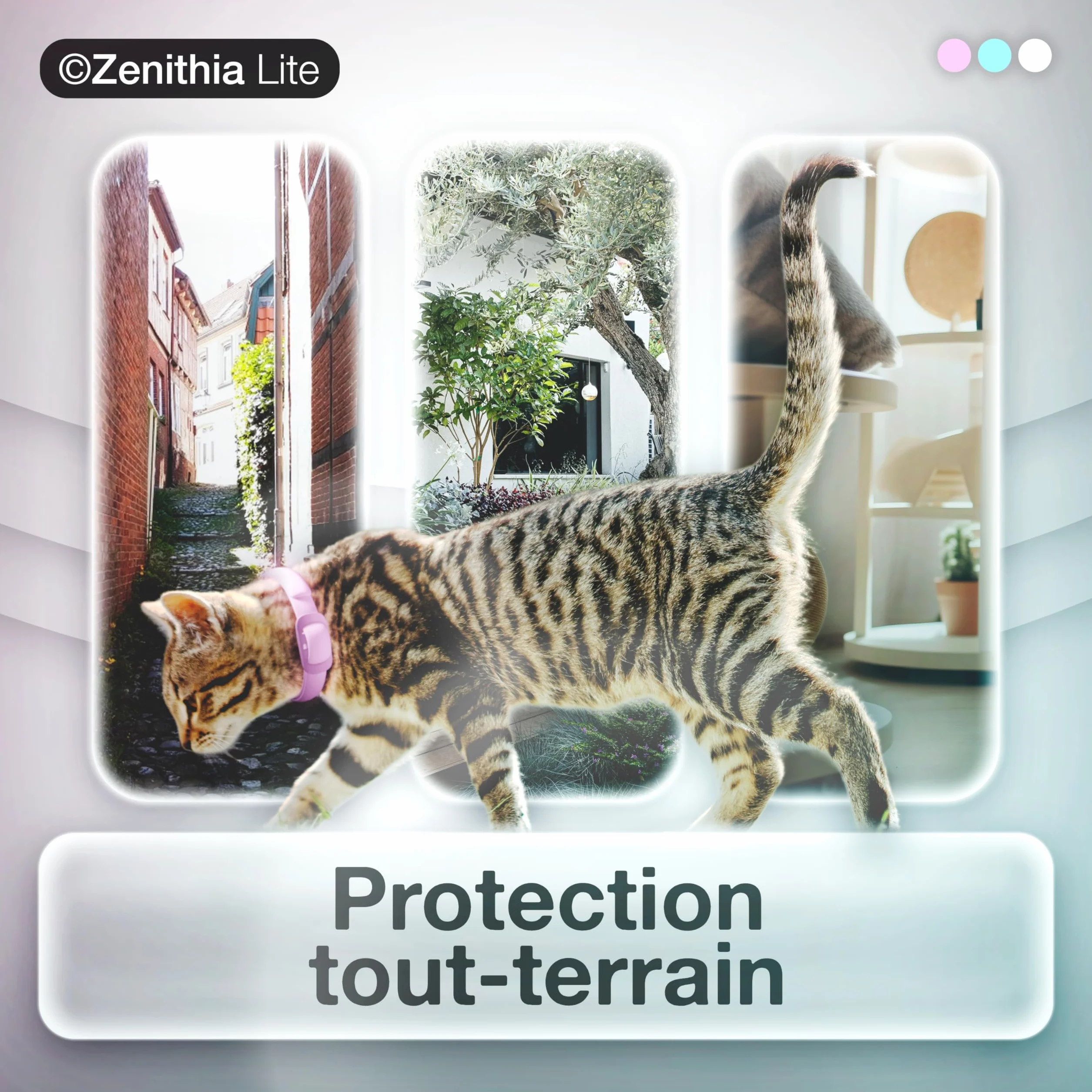 Collier Antiparasitaire Chat ZENITHIA Lite 48 cm Anti-Puces Tiques Moustiques 12 Mois Protection Étanche
