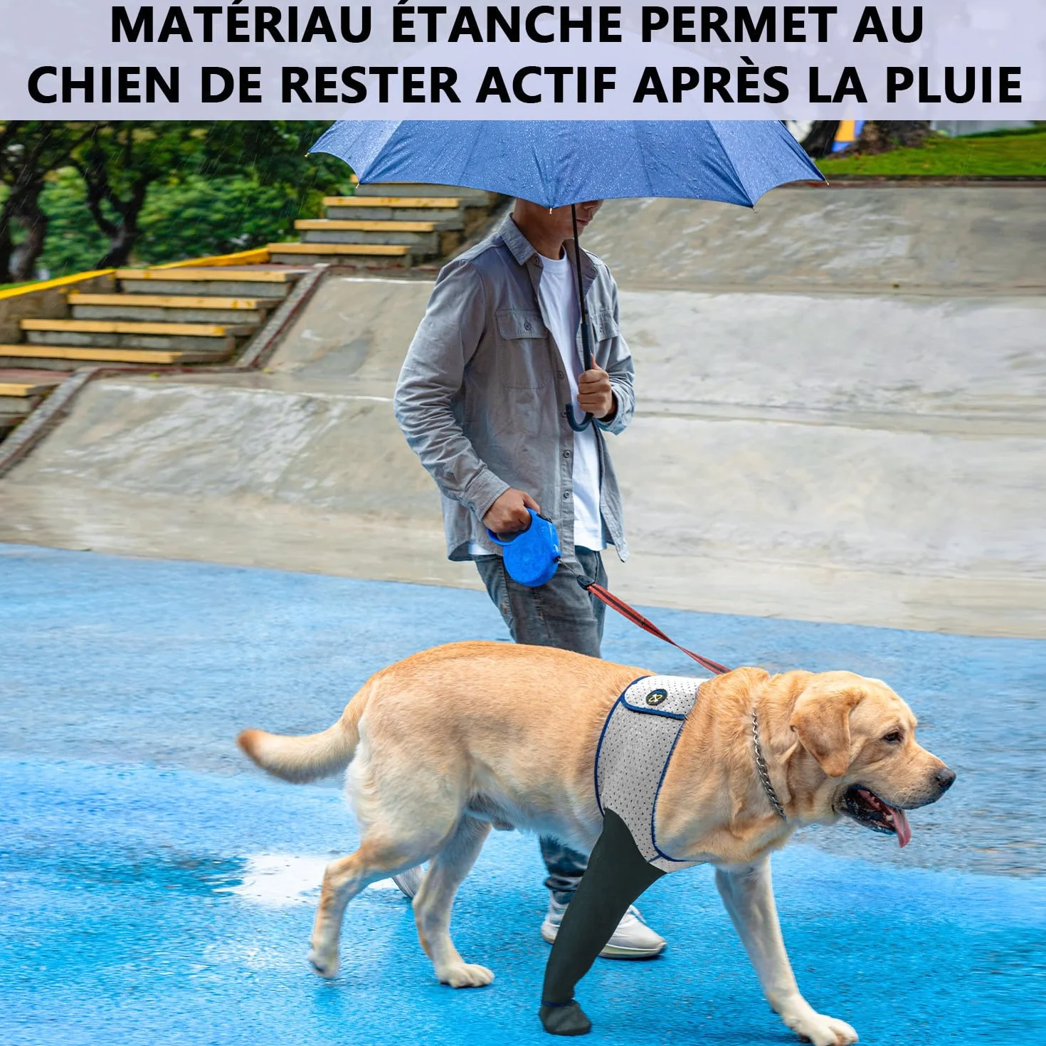 COODEO Chaussettes pour Chien, Bottes de Soin & Protecteurs de Pattes Anti-dérapants, Chaussures étanches (Gris, 3XL_Gauche)