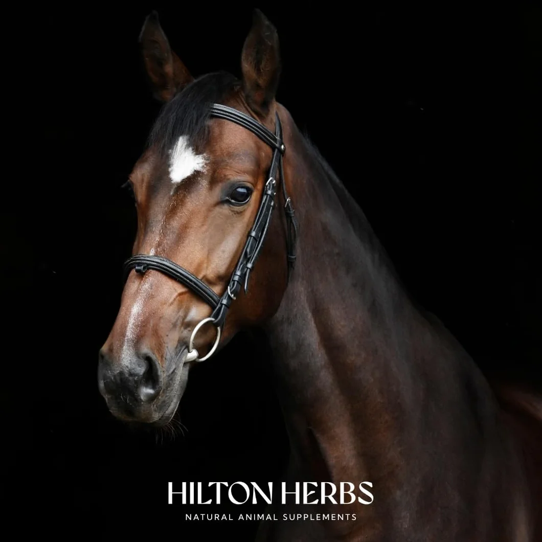 Hilton Herbs Multiflex