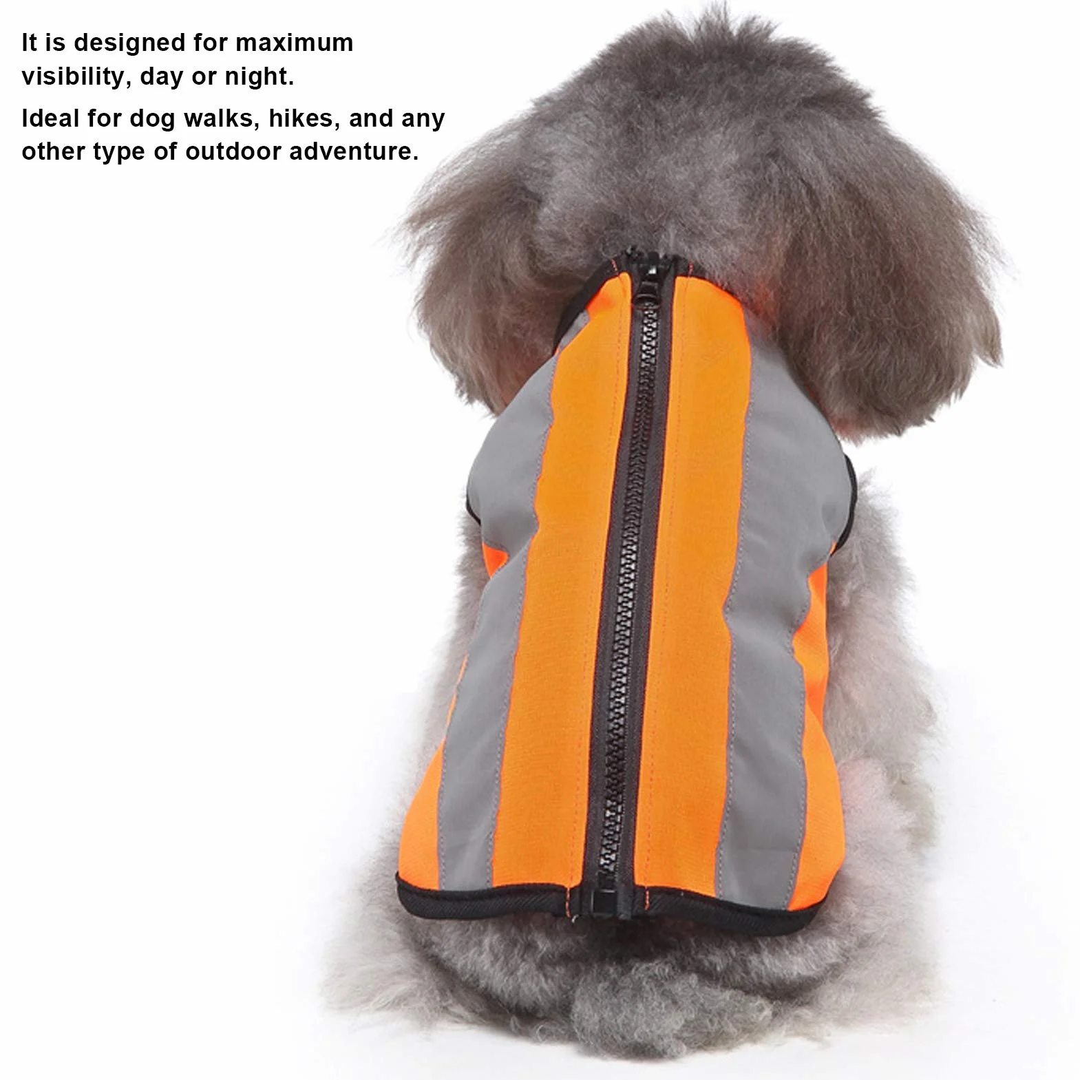 Gilet Réfléchissant de Sécurité pour Chien XL Orange Fluo, Veste Lumineuse Haute Visibilité