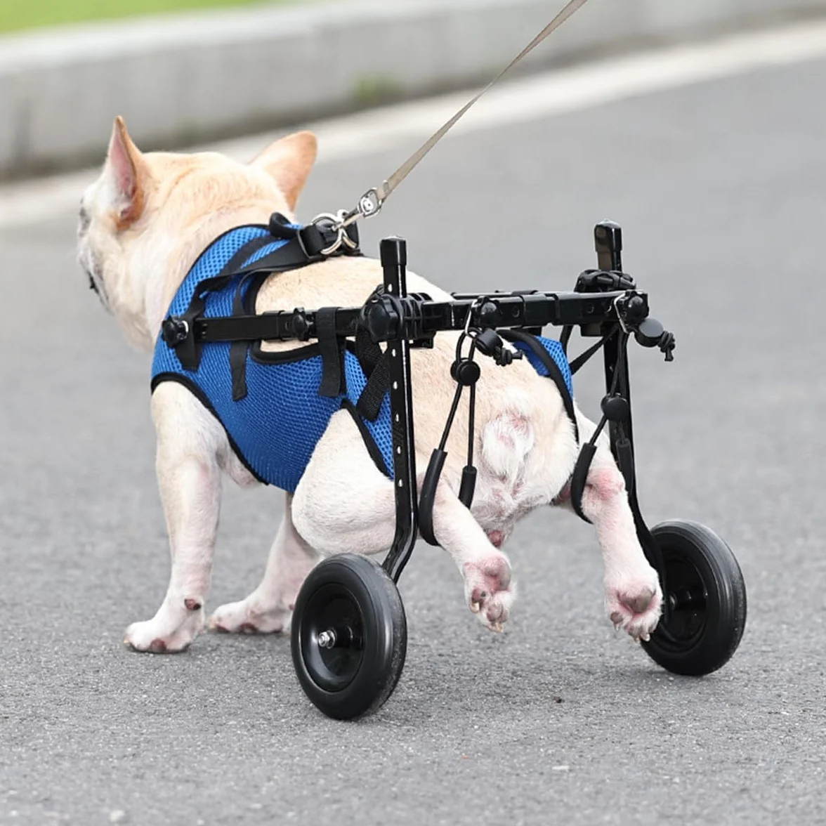 Fauteuil roulant réglable pour chien Aide à la mobilité Chariot de réhabilitation XS